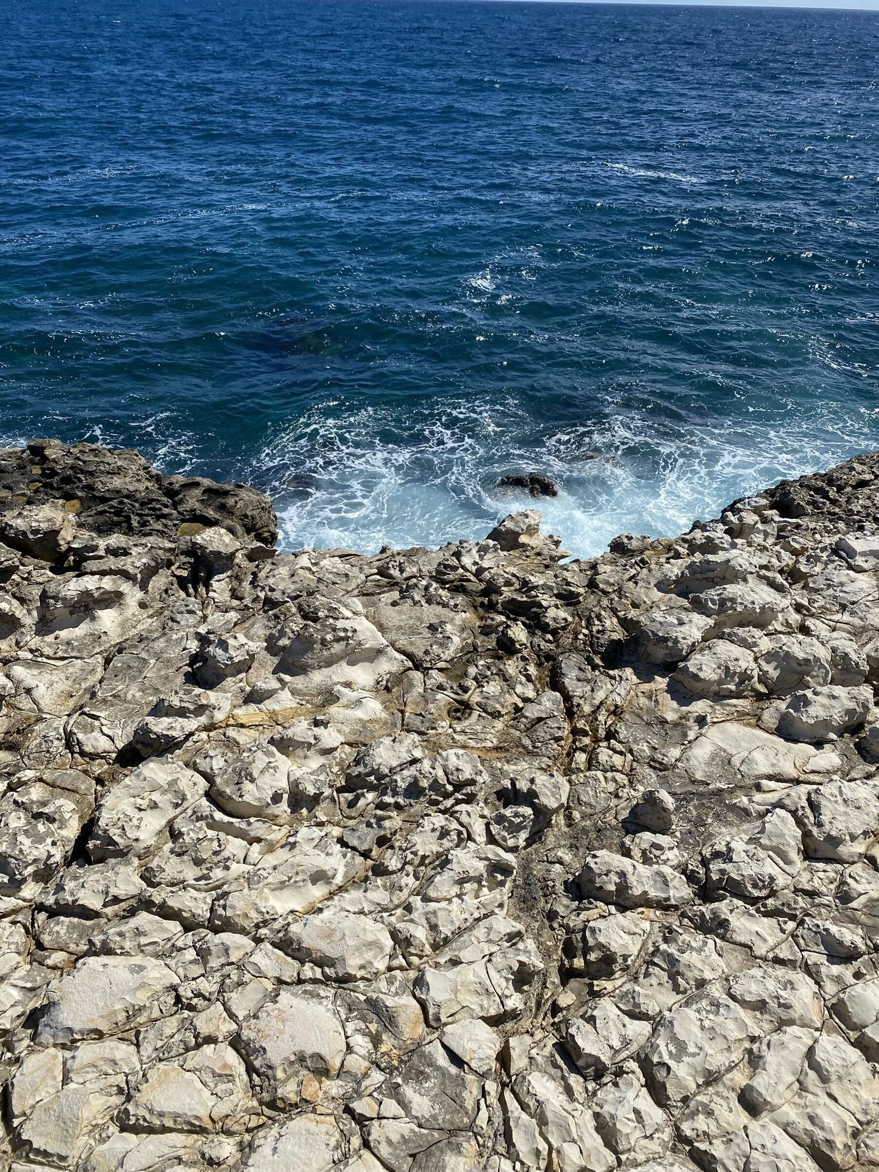 IMG_1574.jpeg