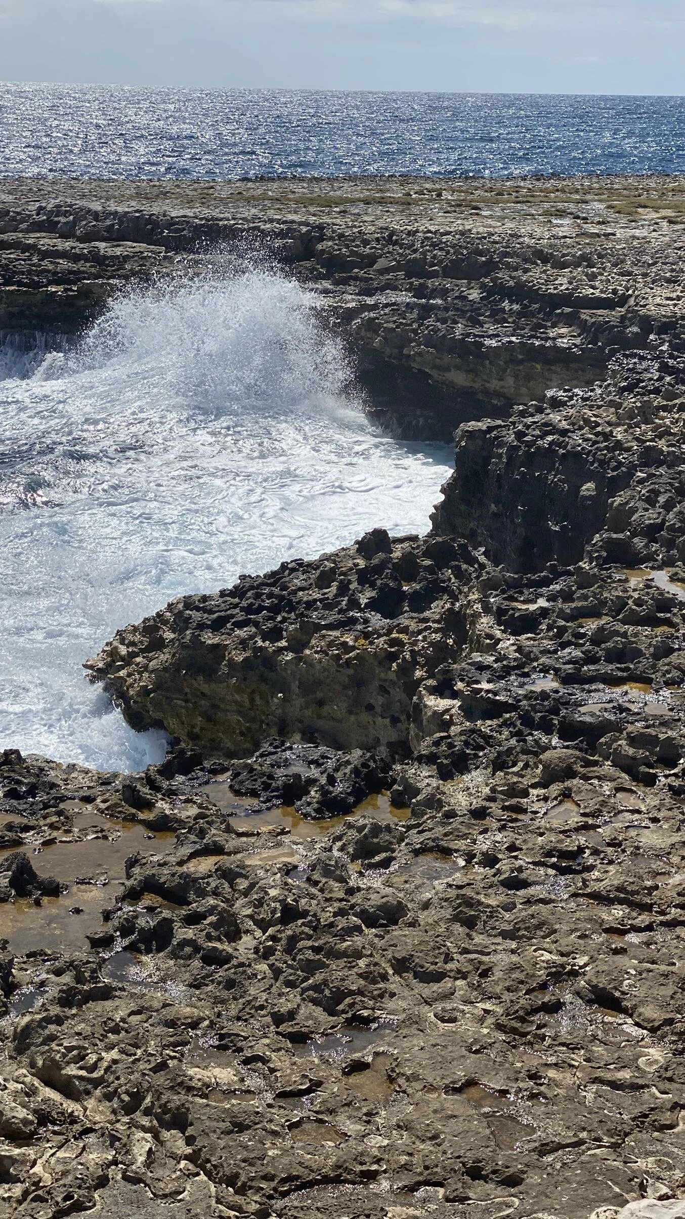 IMG_1578.jpeg