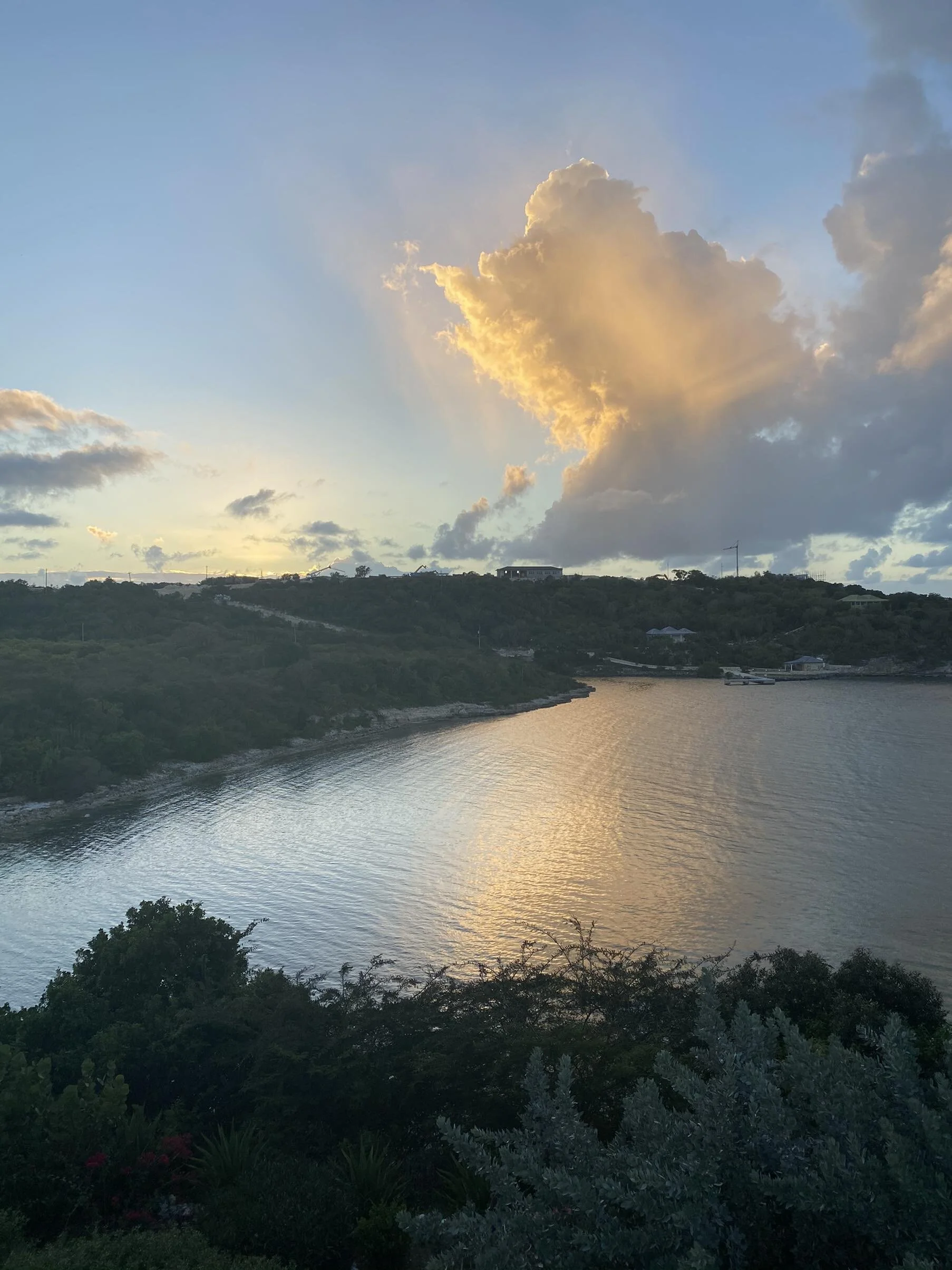 IMG_1609.jpeg