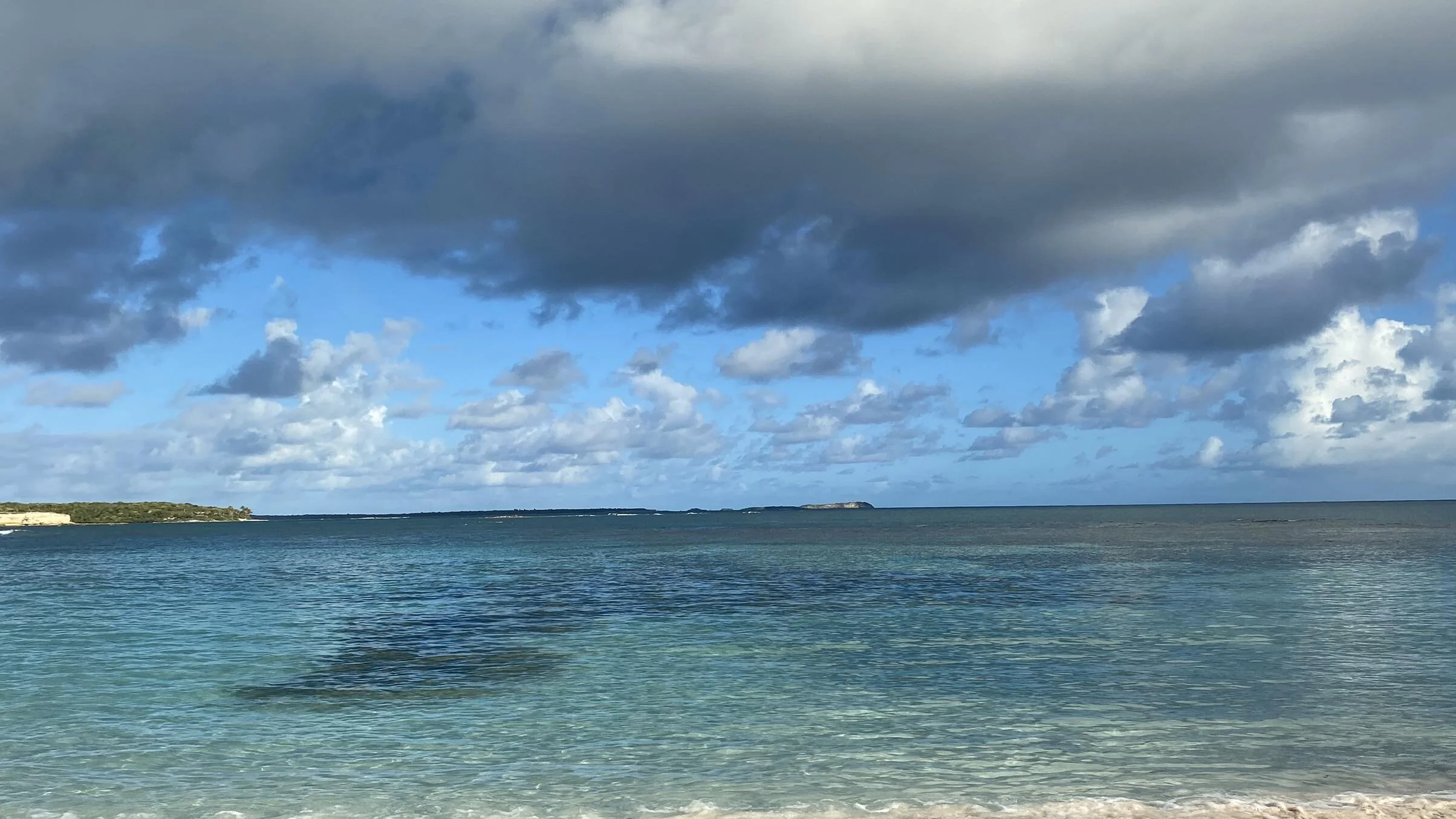IMG_1614.jpeg