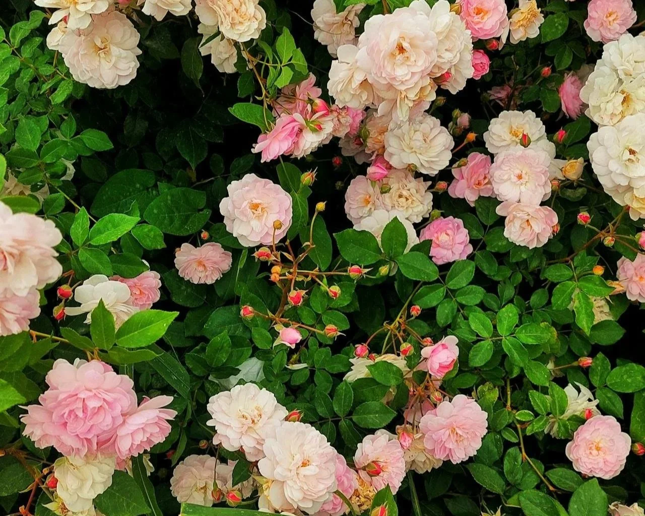 "And the Great Mother Said": The Poem That Changed How I See Myself as a Woman