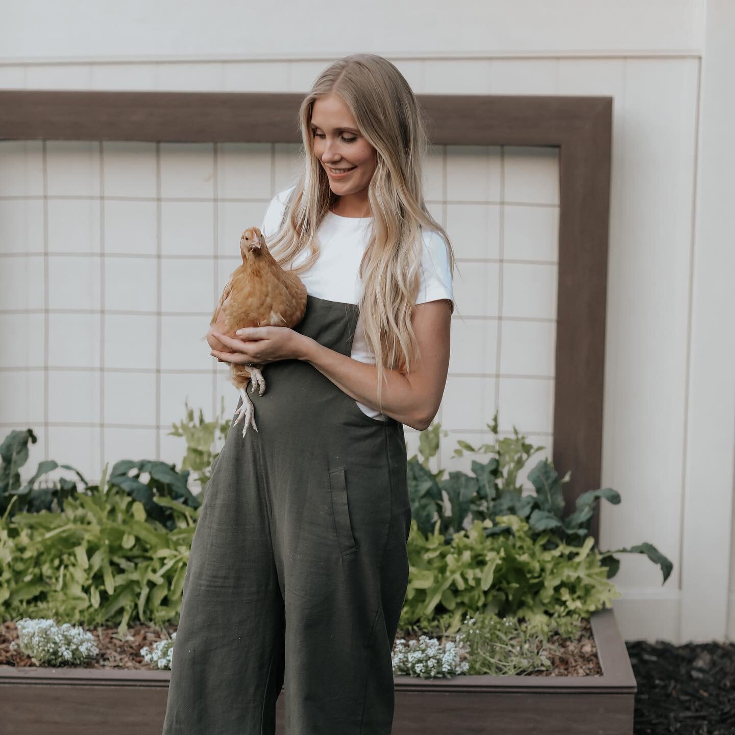 Anyone else use golden hour to take photos in the garden with their chickens? Just me? 😆

I&rsquo;m so glad I prioritized adding a Buff Orpington to our flock when we were getting chicks this year&mdash;Daphne is the calmest, friendliest girl! She i