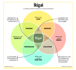 Ikigai Series:  Introduction 