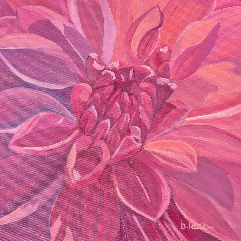 Dahlia