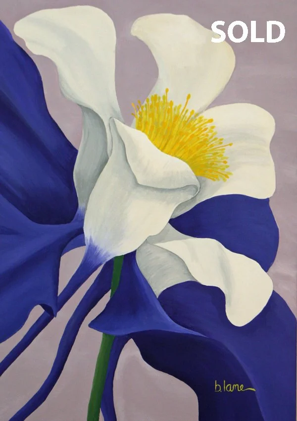 Blue Columbine