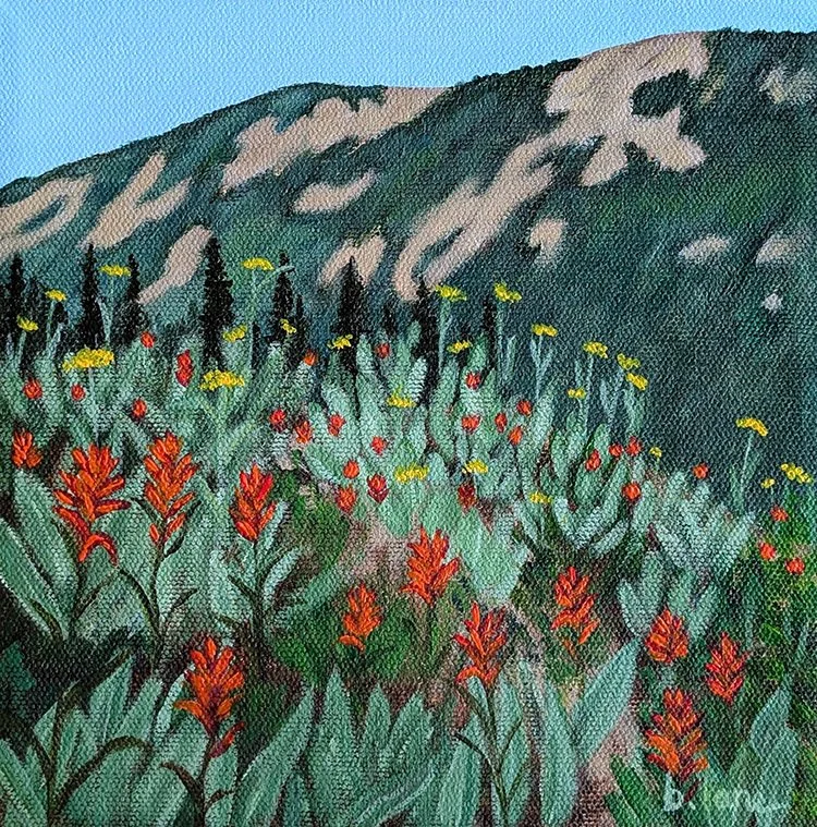 Summer Meadow
