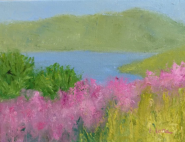 Connemara 1