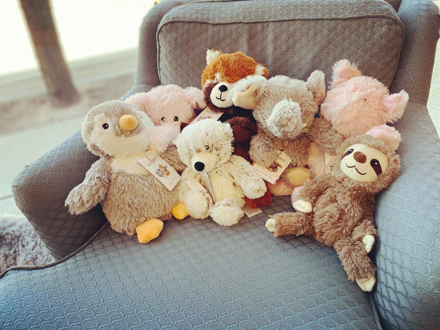 stuffies.jpeg