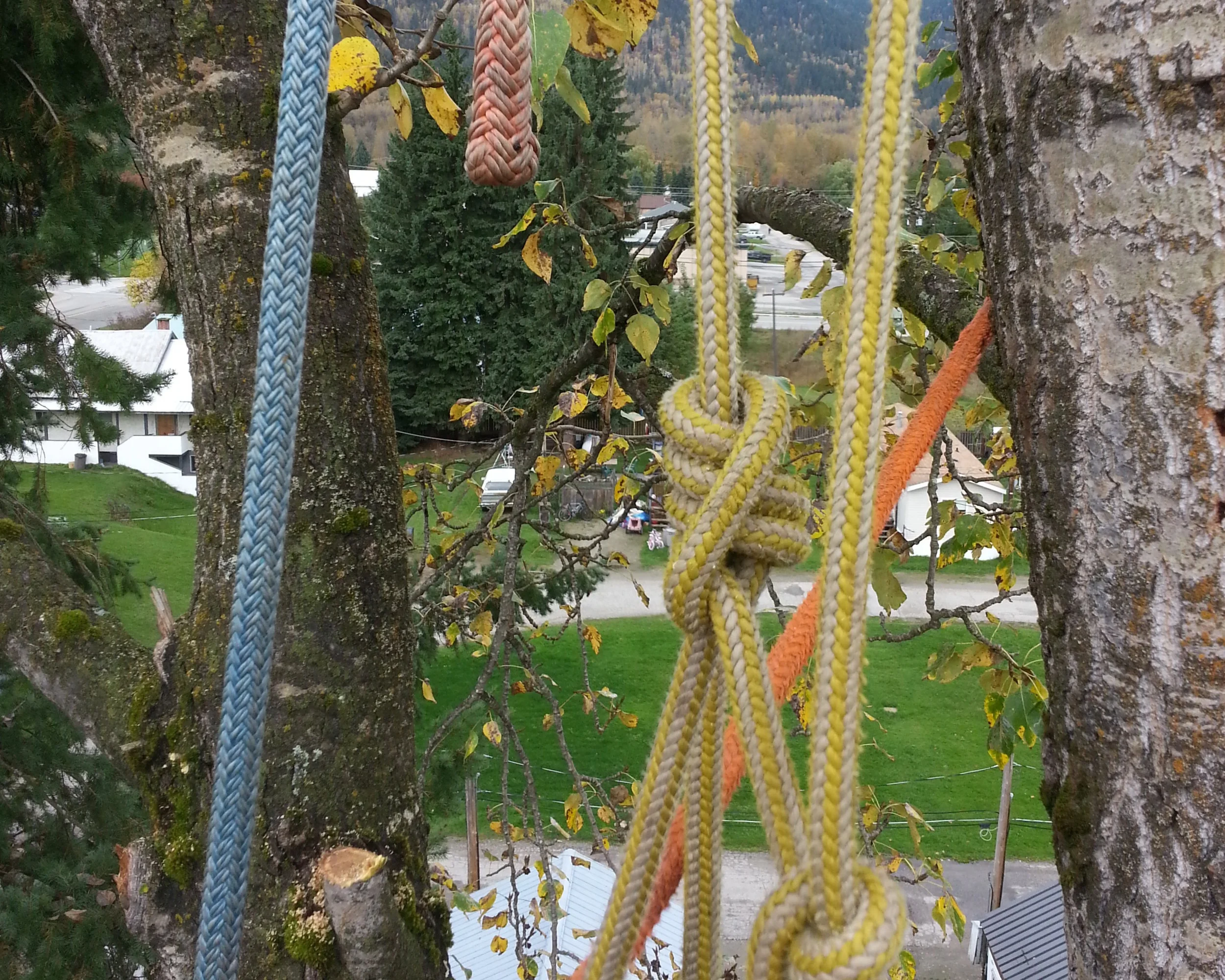 20141014_130852.jpg