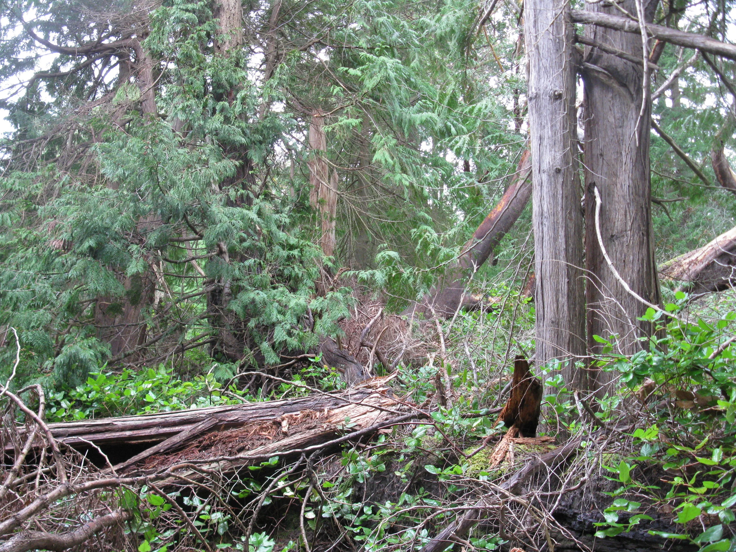 pics from 2010 419.jpg
