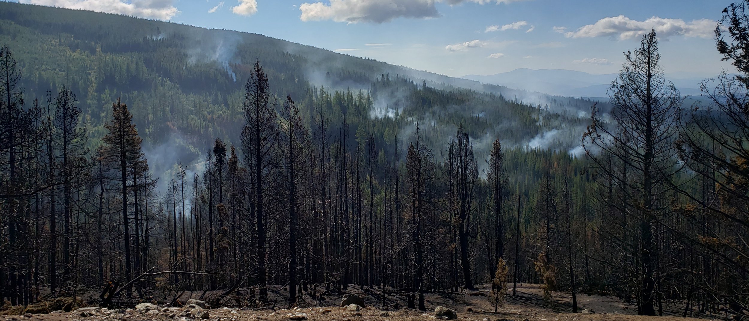 20210902_101436 copy.jpg