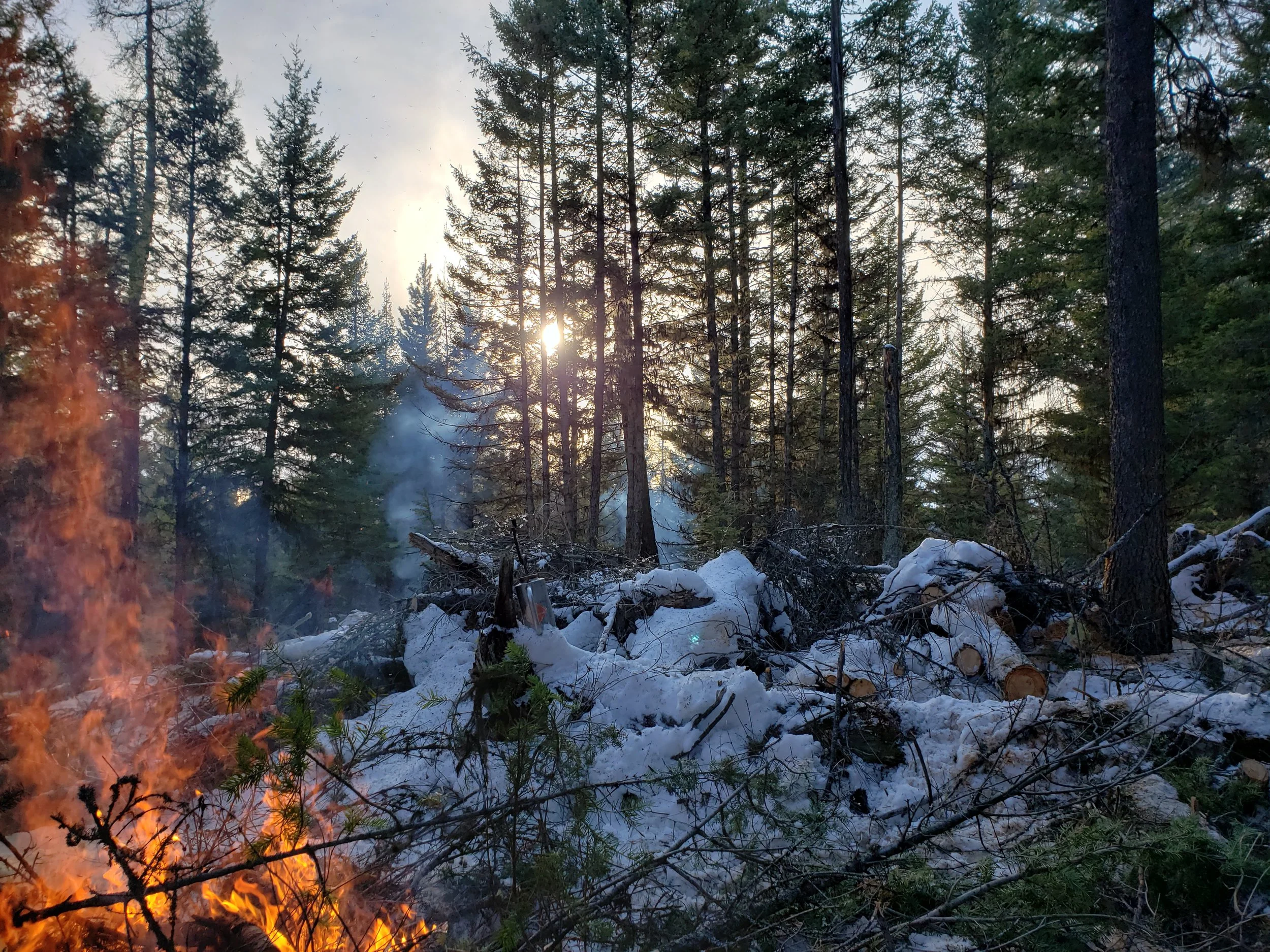 20201203_135551.jpg