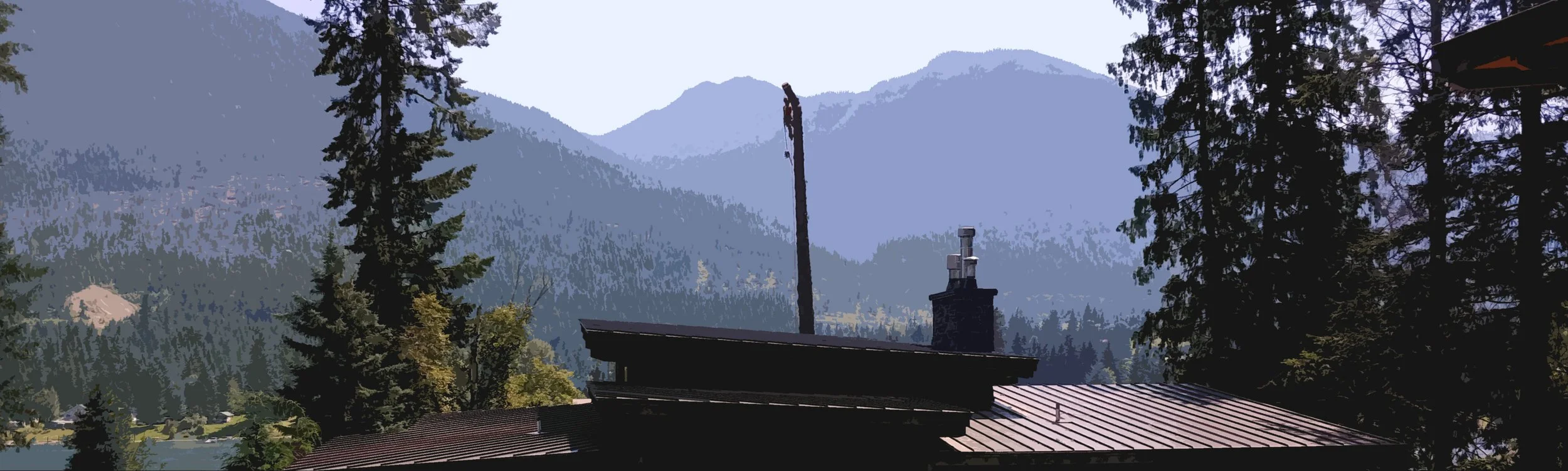 residential removal.jpg