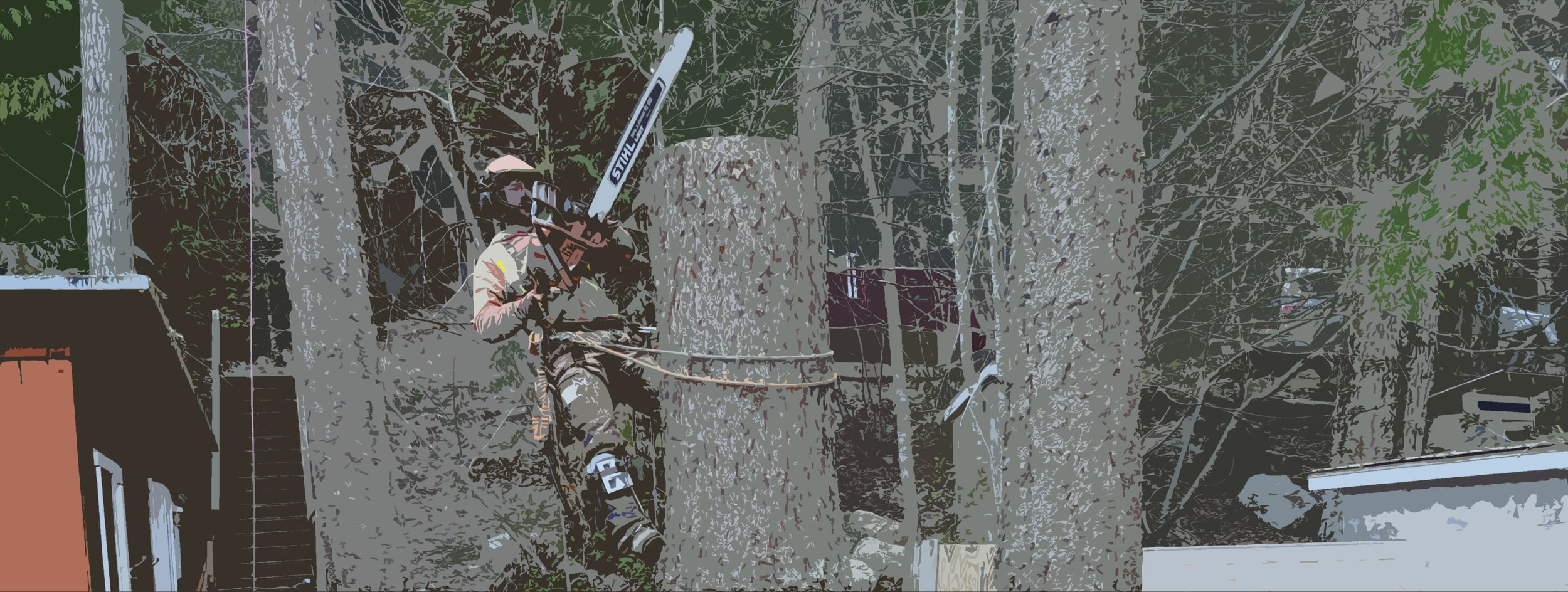 arborist sectional.jpg