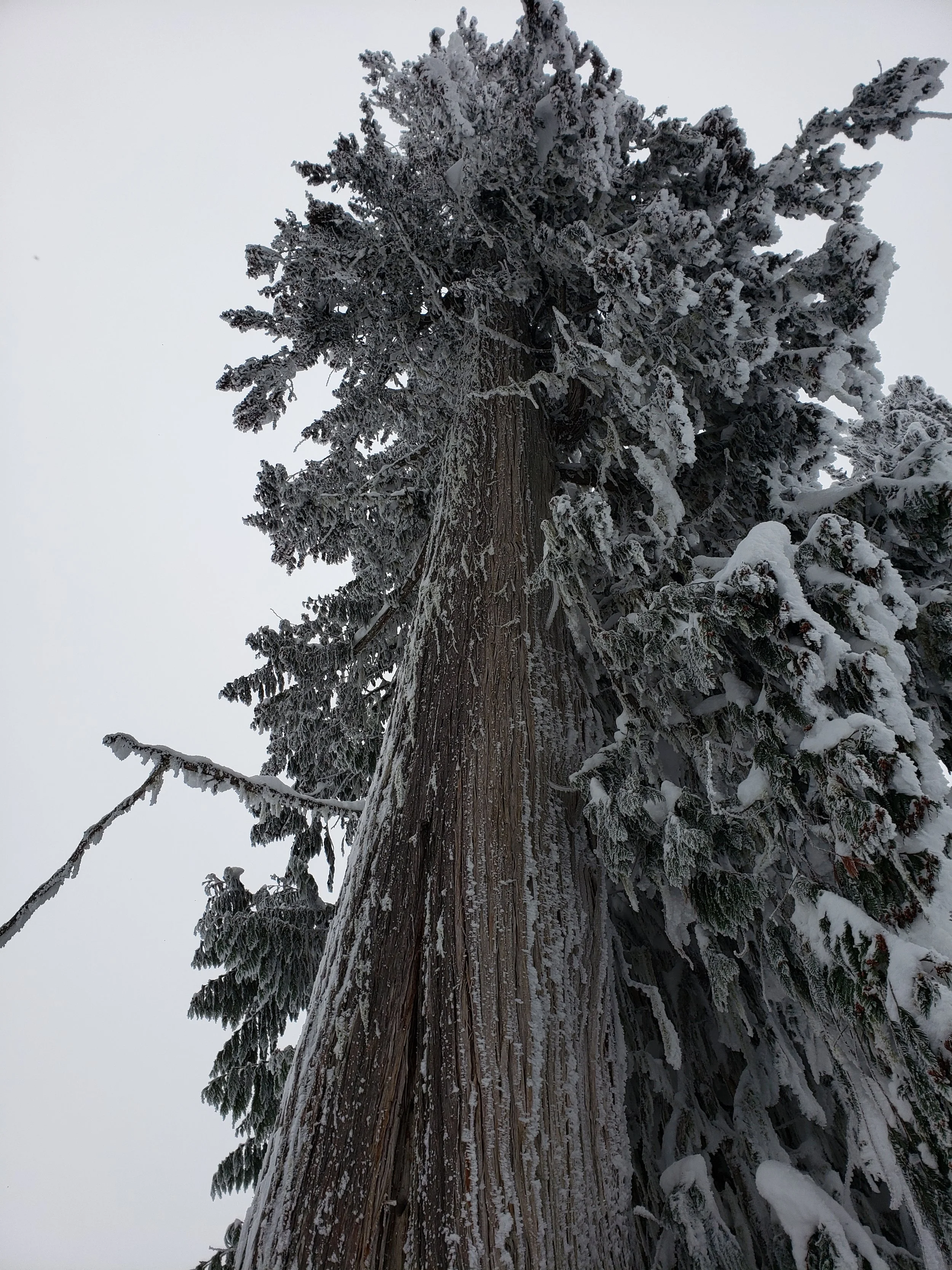 20190116_142440.jpg