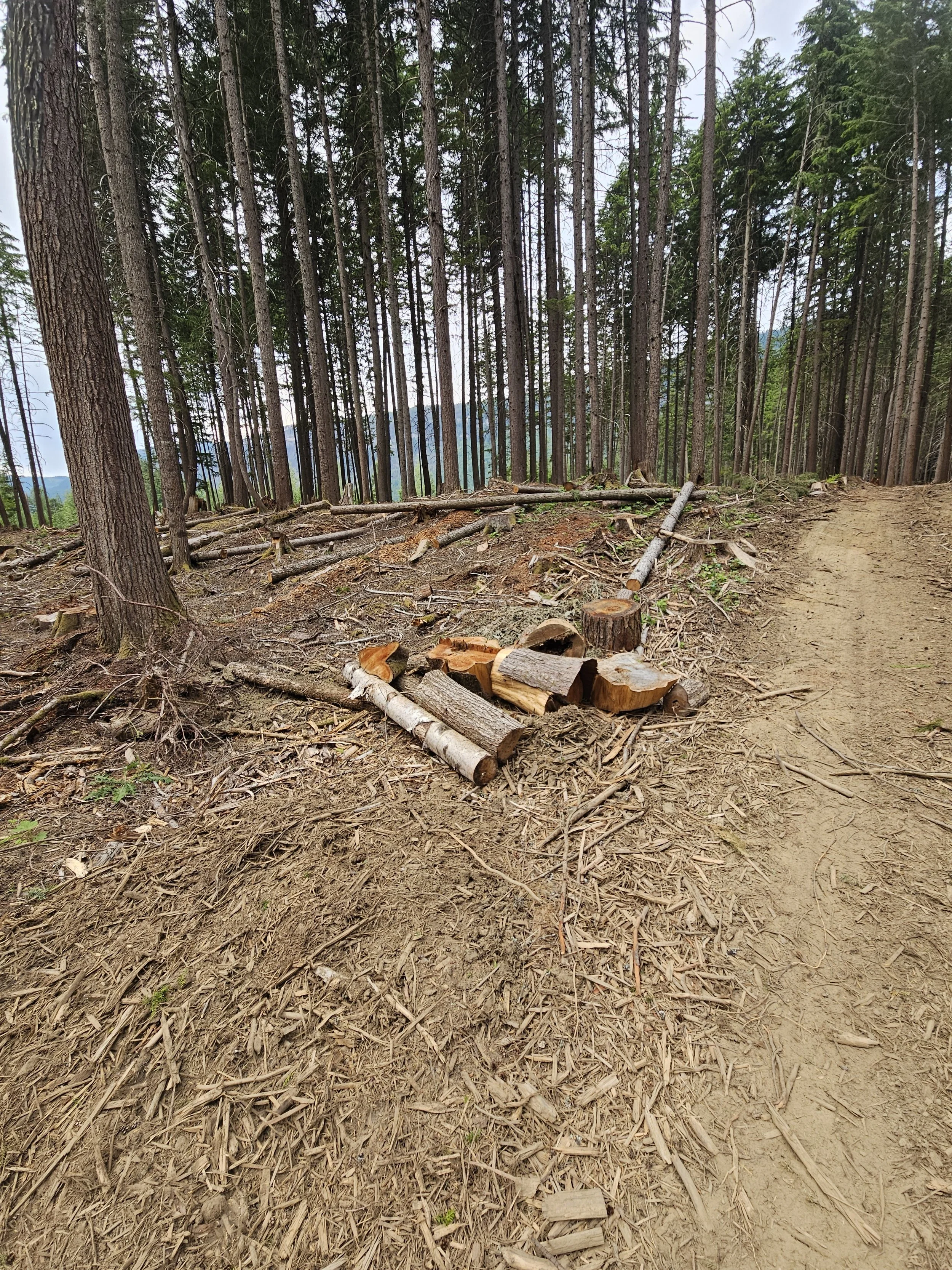  Random chunks are being consolidated as we go, and a few last waste loads still need to leave the site 