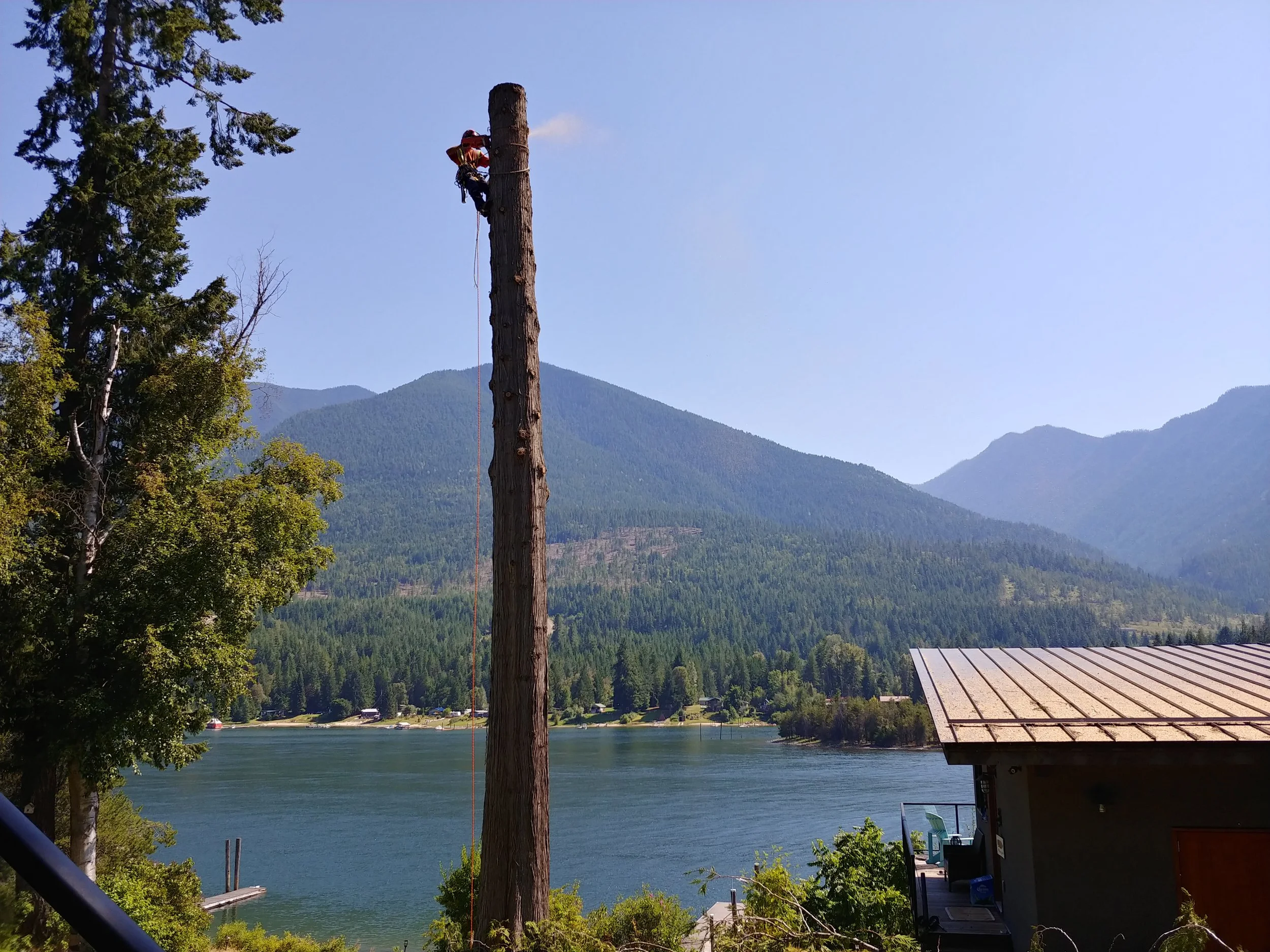 20200728_145532_HDR.jpg