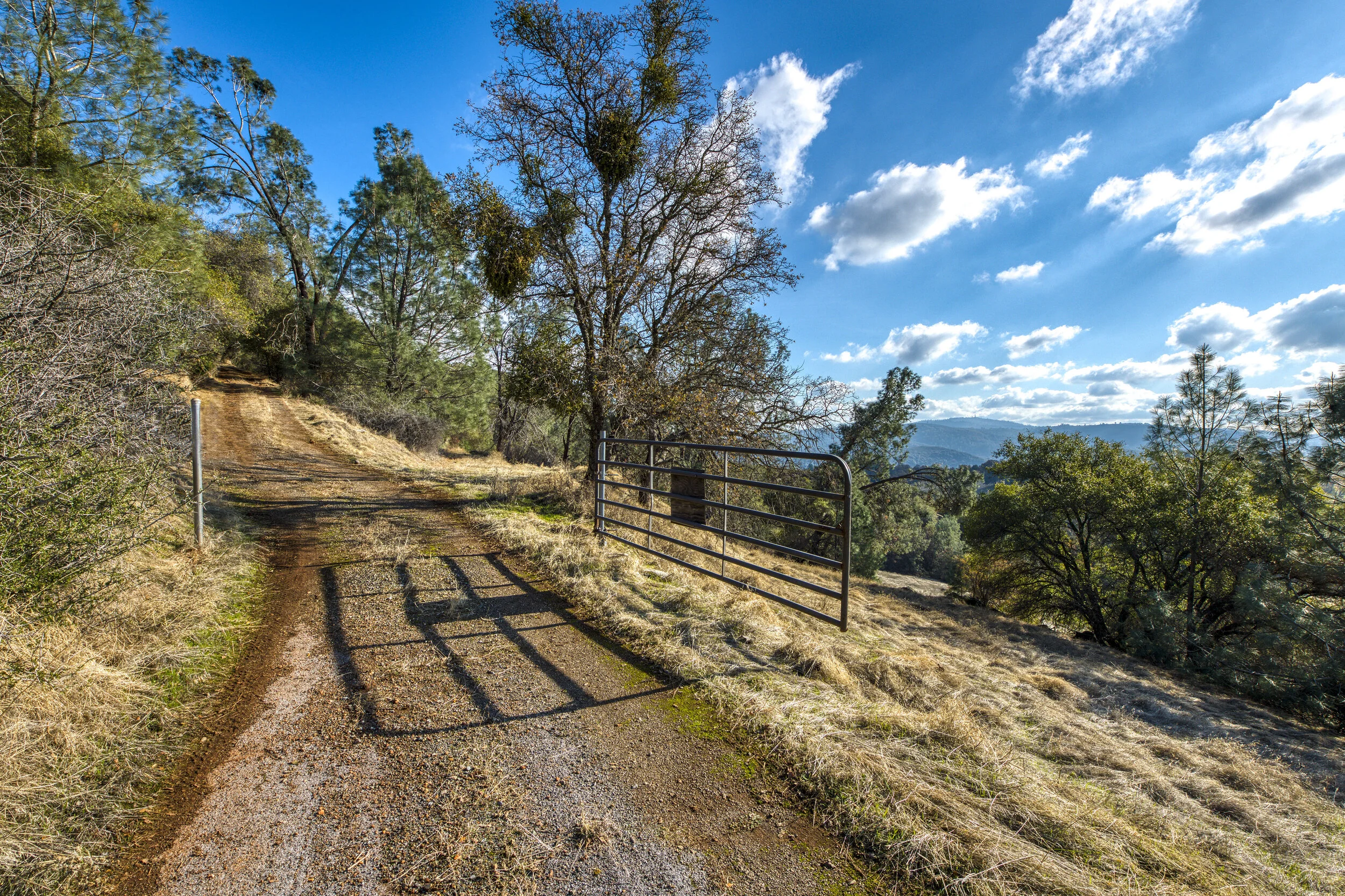 1661 Storksbill Rd _13.jpg
