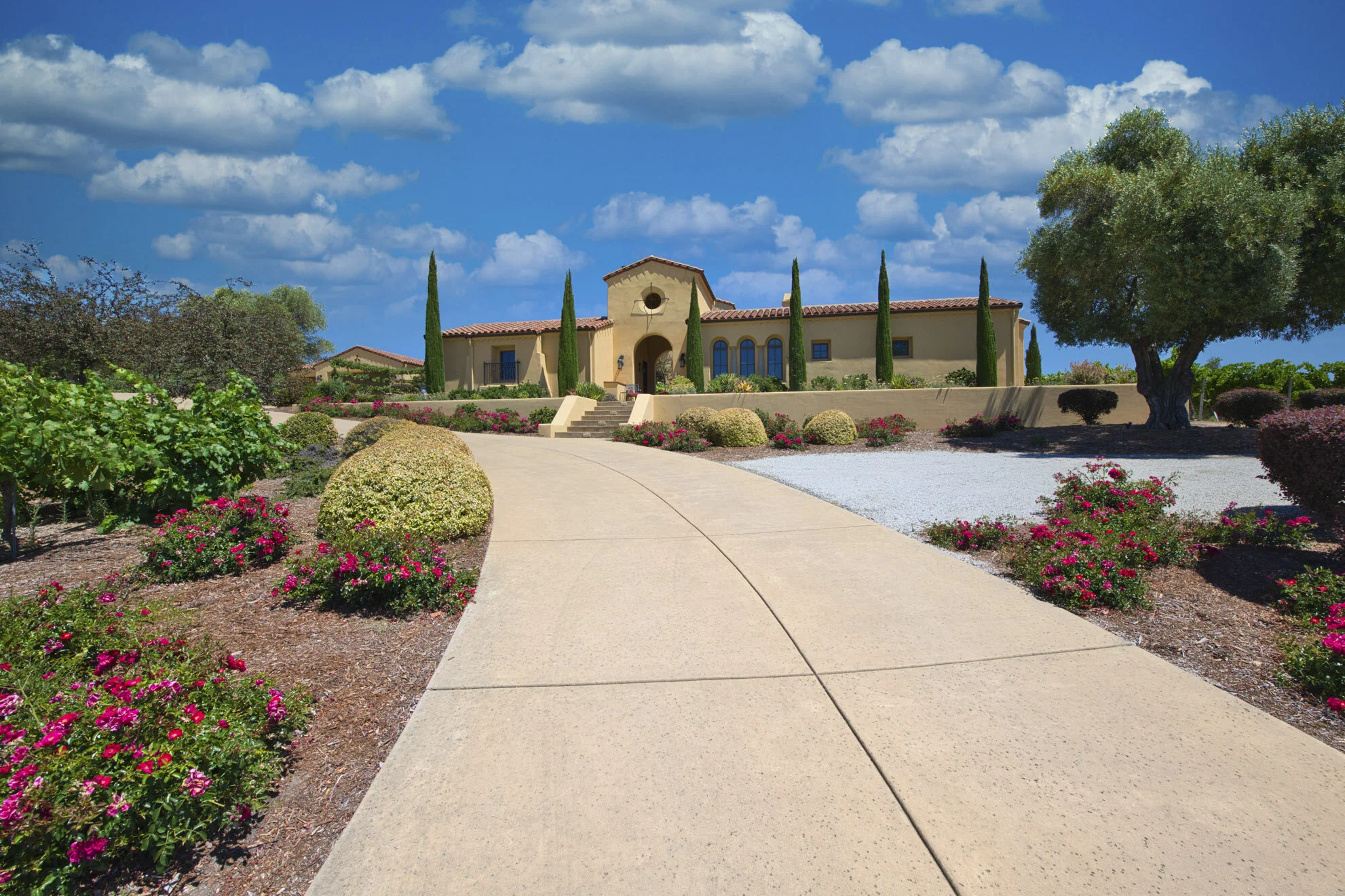 506 Blackhawk Court 7.jpg
