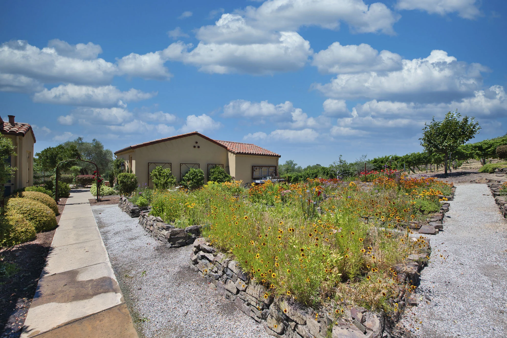506 Blackhawk Court 21.jpg