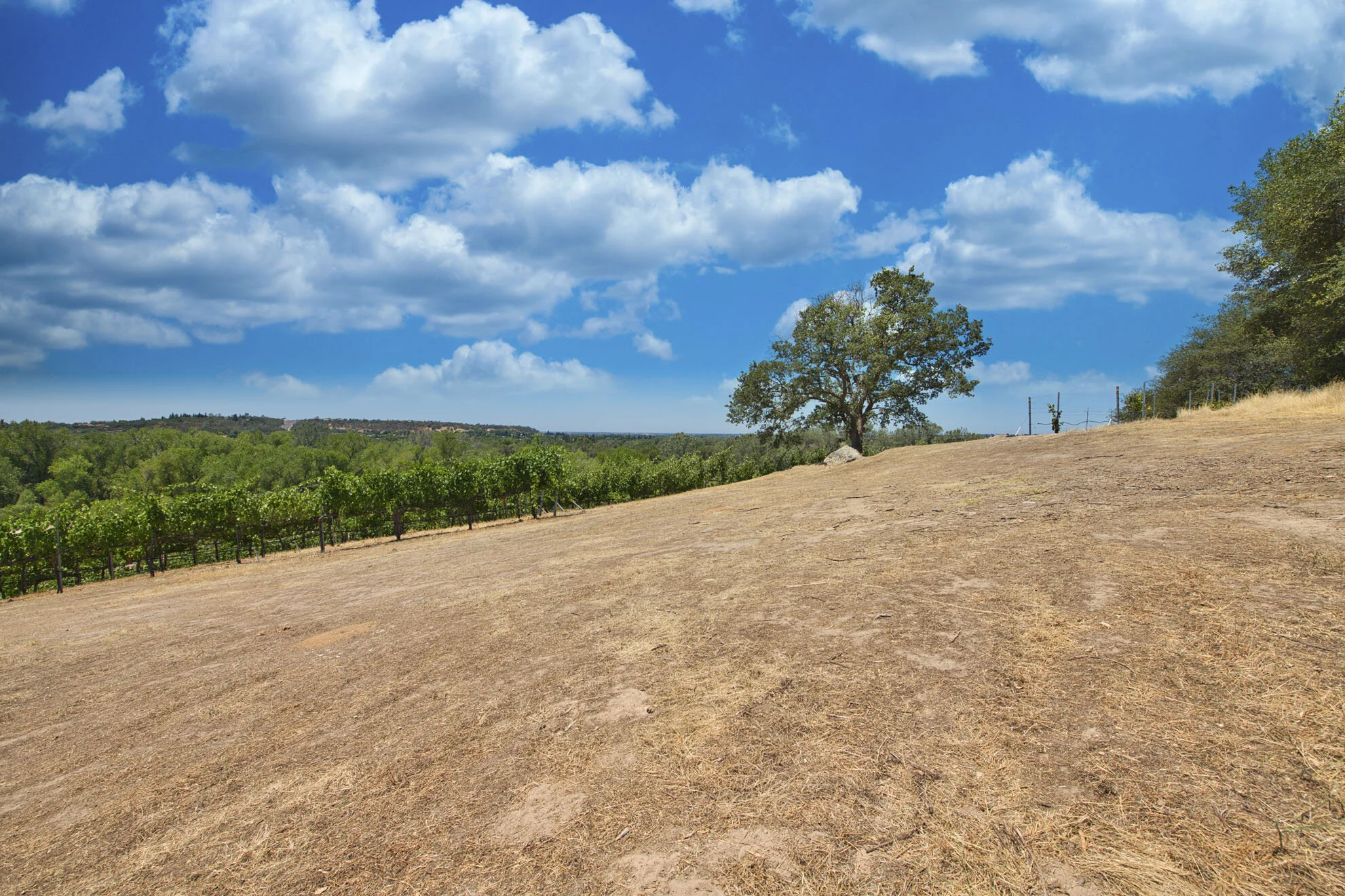 506 Blackhawk Court 36.jpg