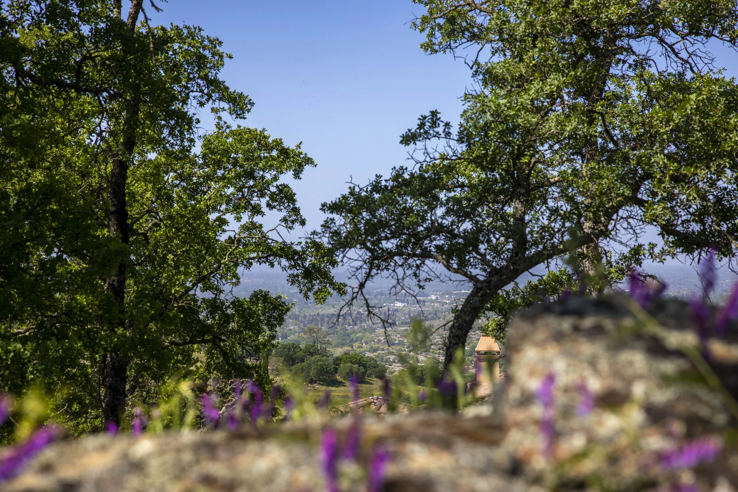 244 Pilo Court _4.JPG