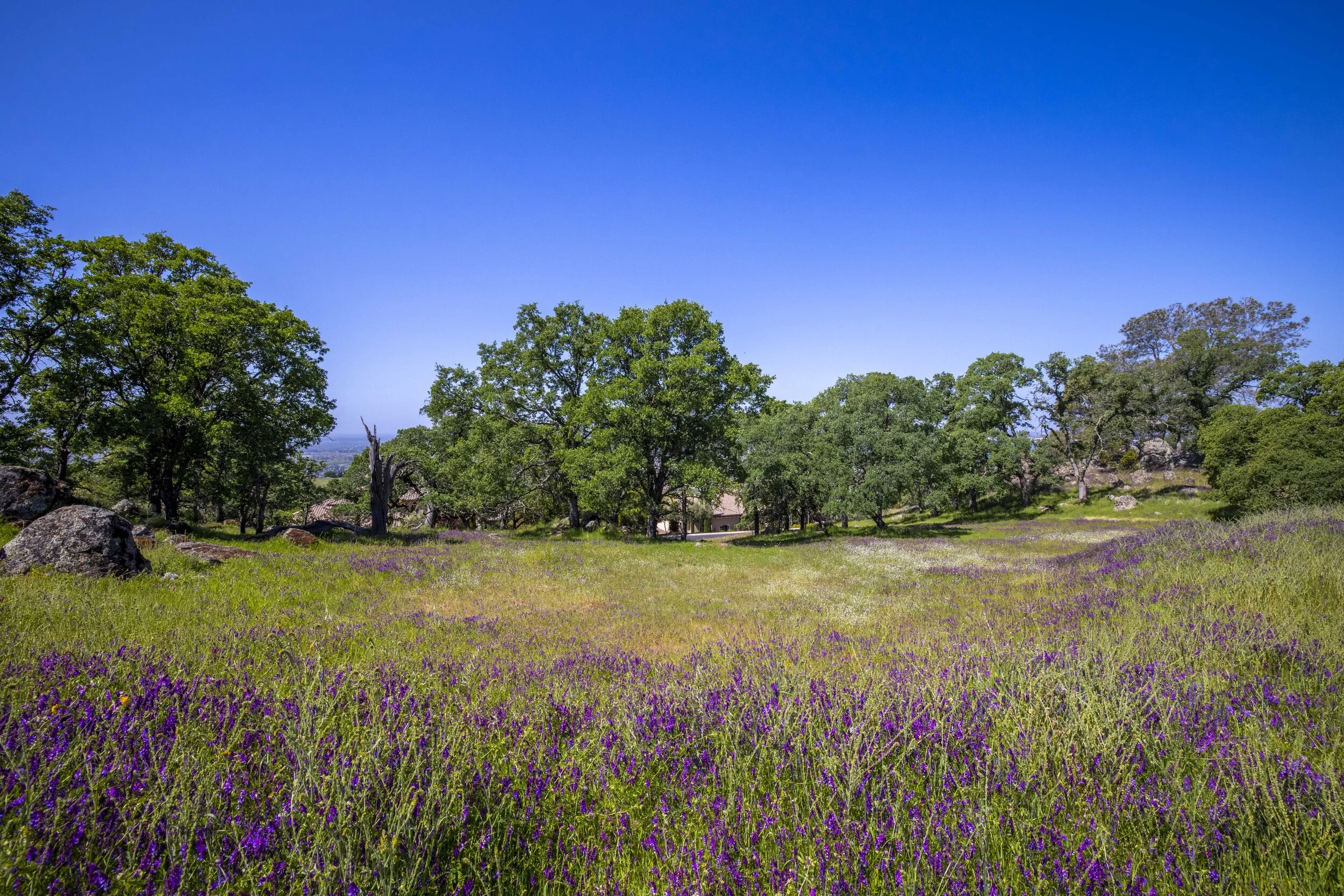 244 Pilo Court _24.JPG