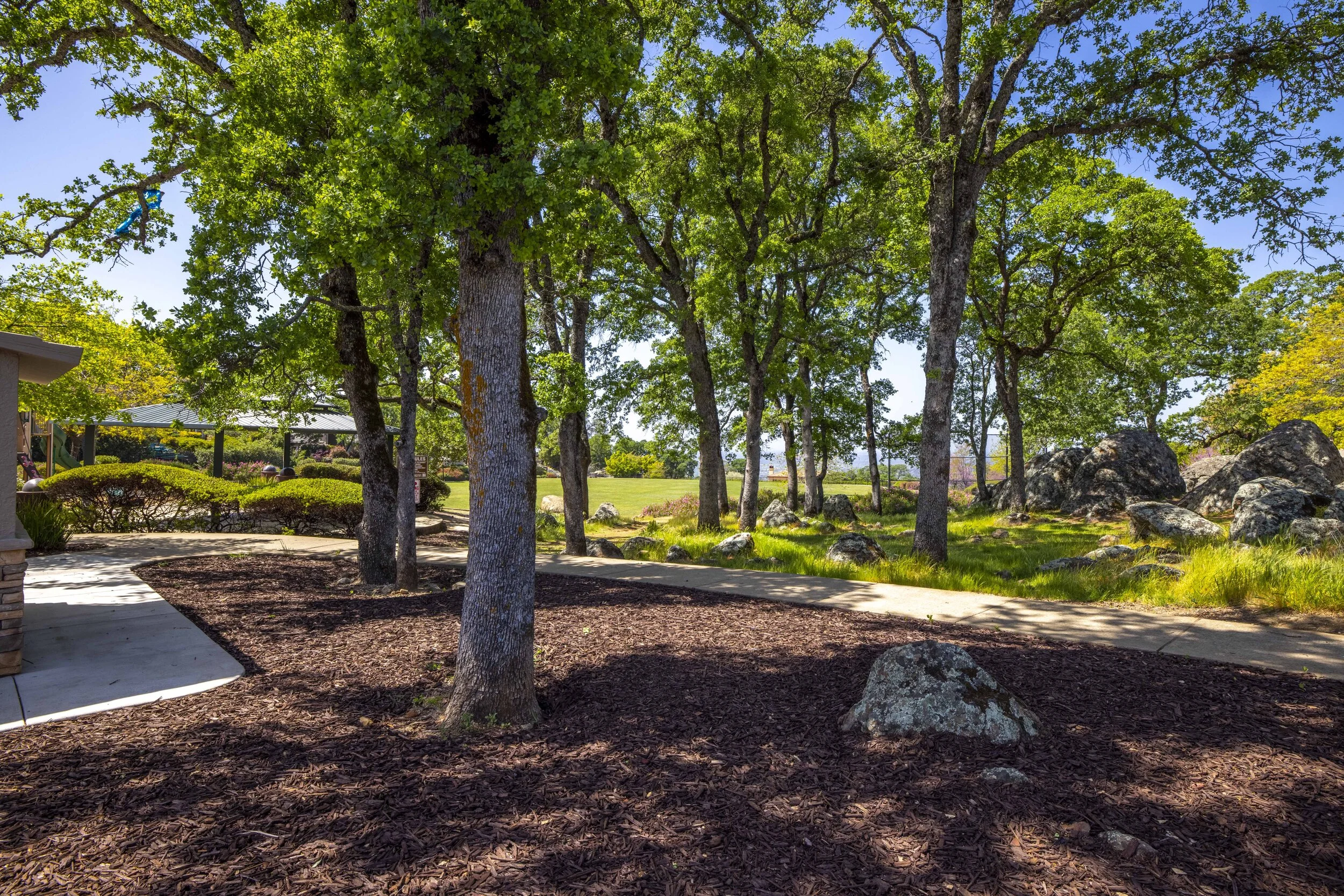 244 Pilo Court _28.JPG