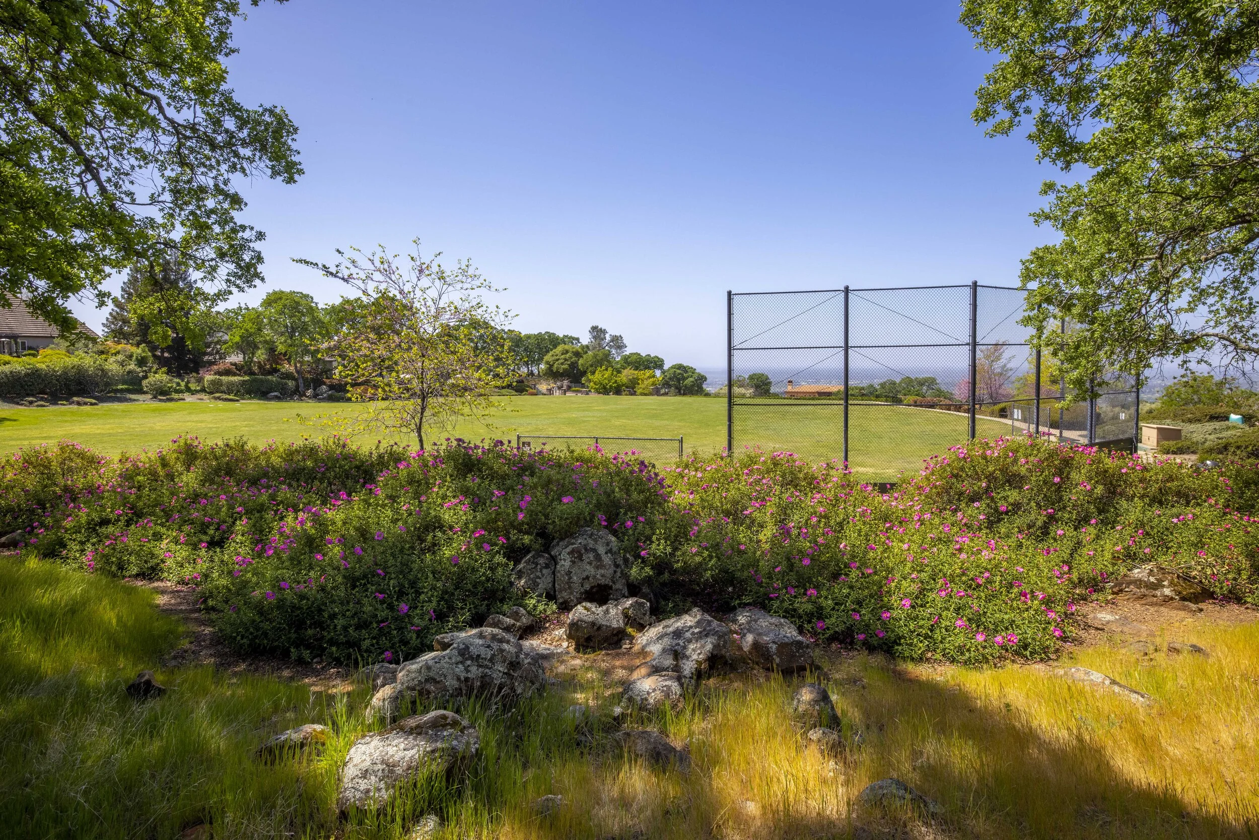 244 Pilo Court _29.JPG