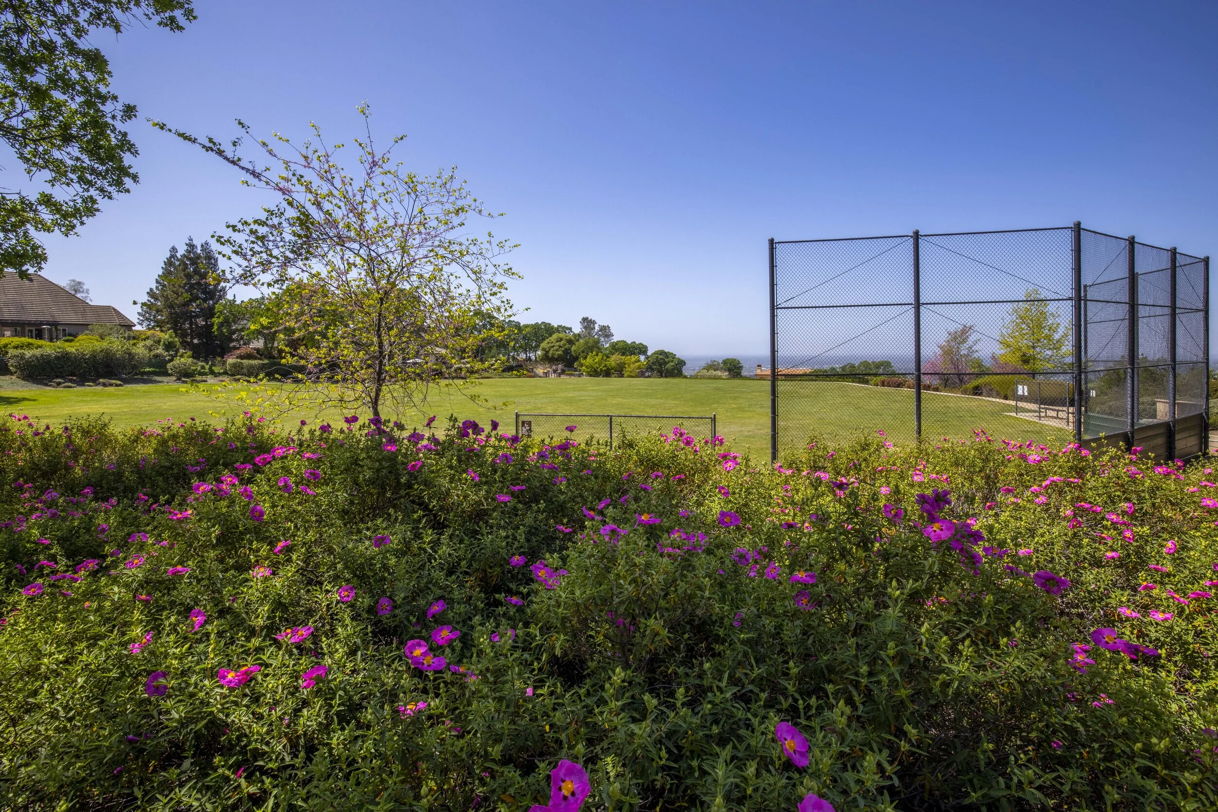 244 Pilo Court _30.JPG