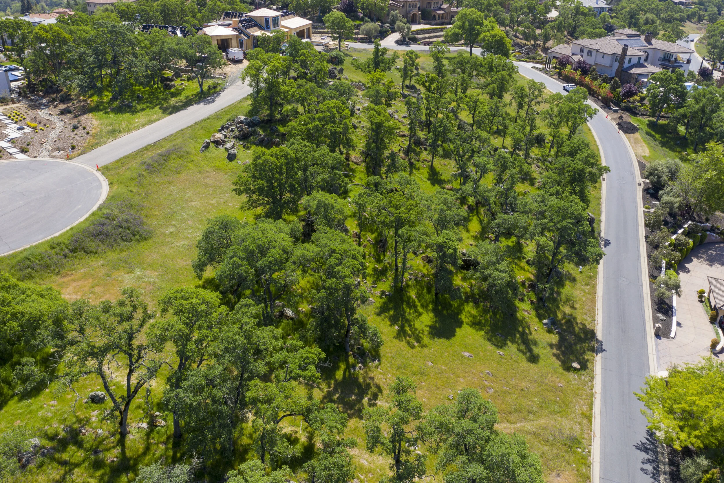 244 Pilo Court _38.JPG