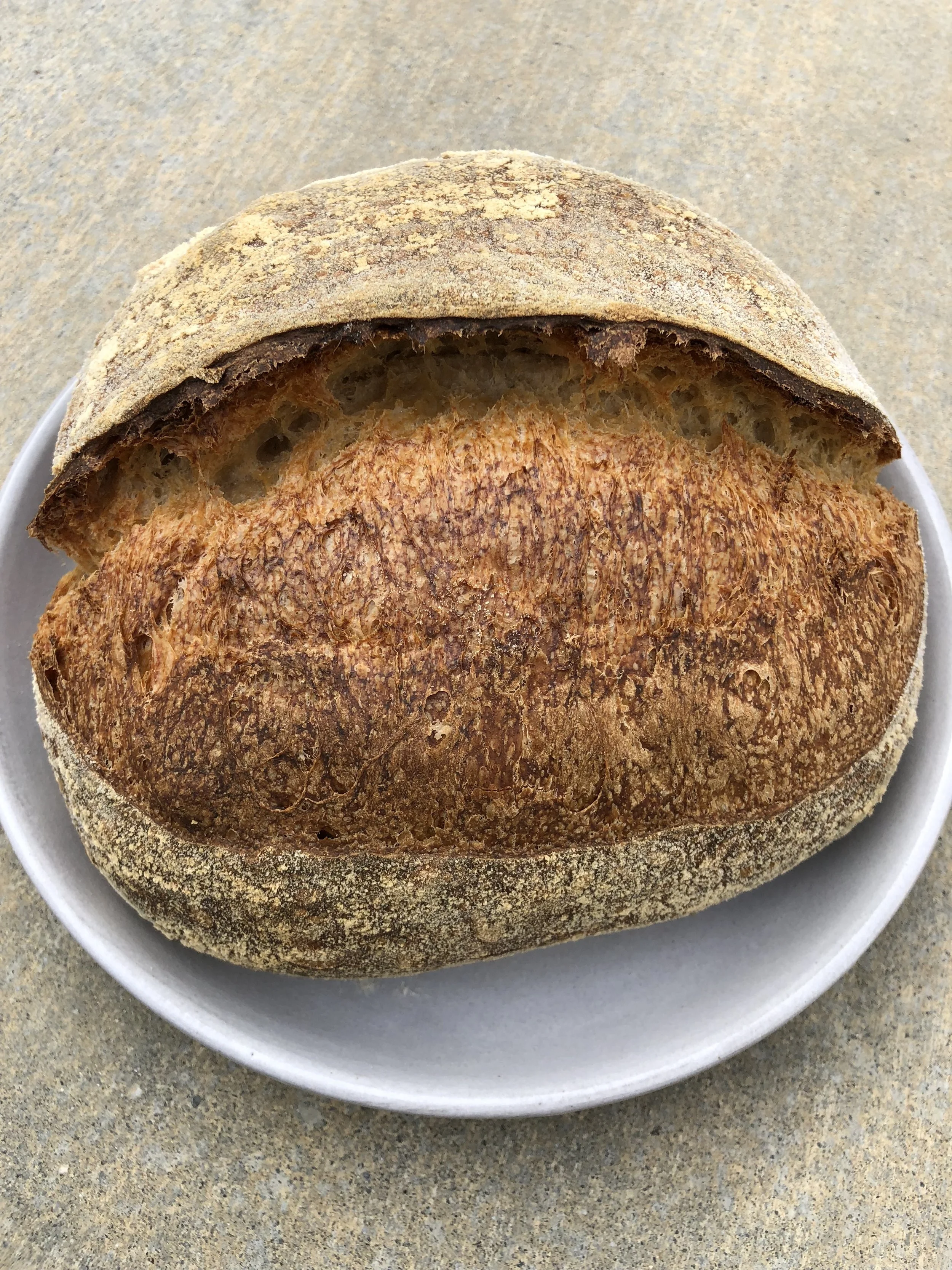 Venice Whole Wheat Sourdough