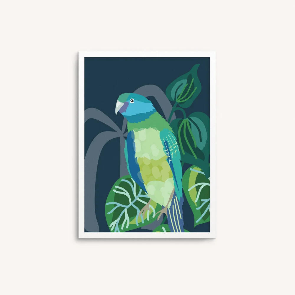 CW_WALLART_MOCKUP_CloncurryParrot-Dark.jpg