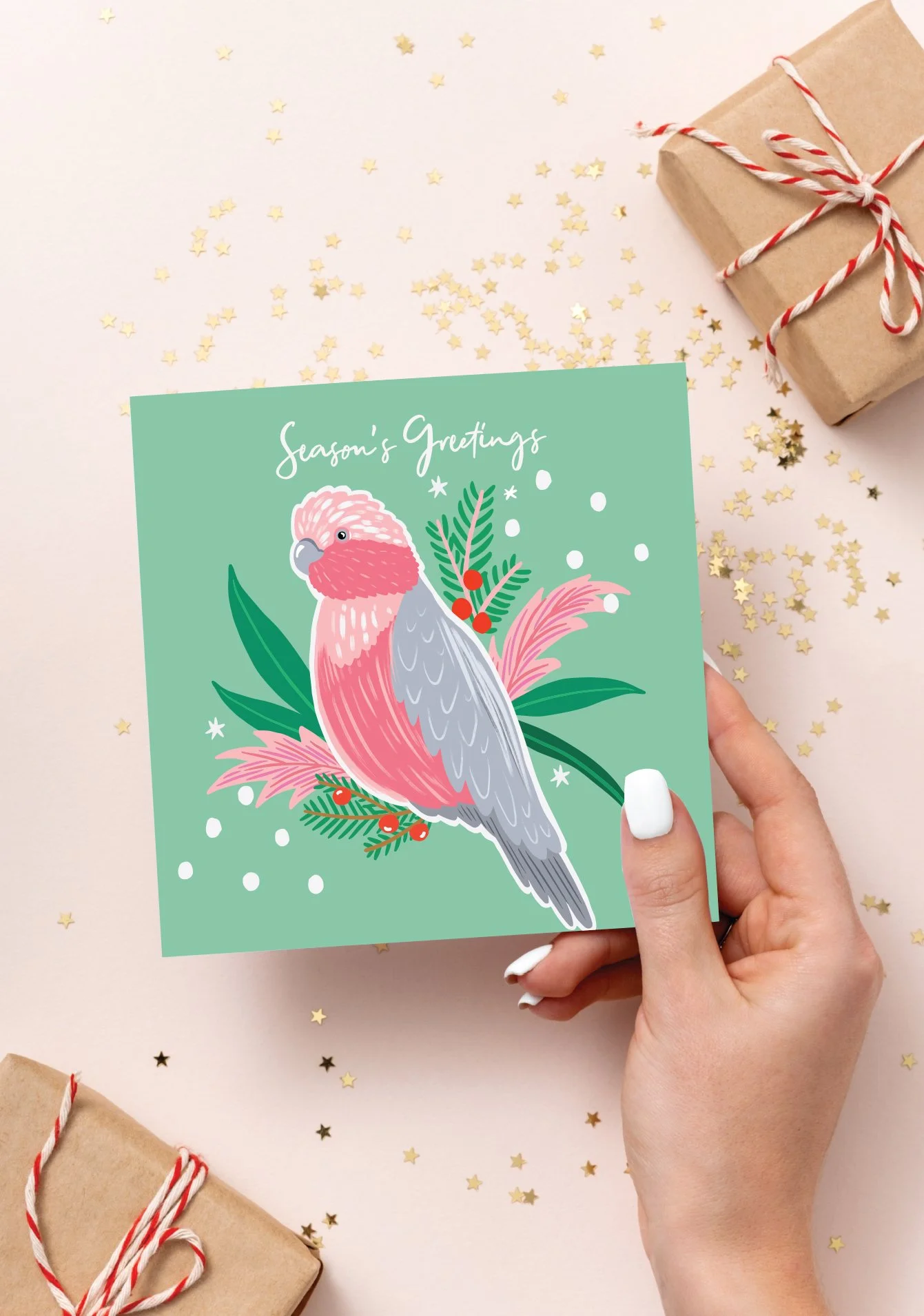 galah 2.jpg