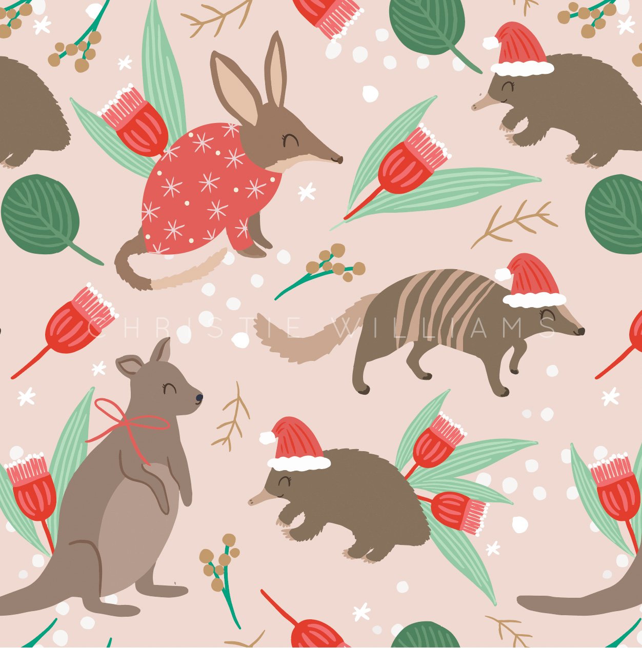 Christie Williams_Australiana Christmas-19.jpg