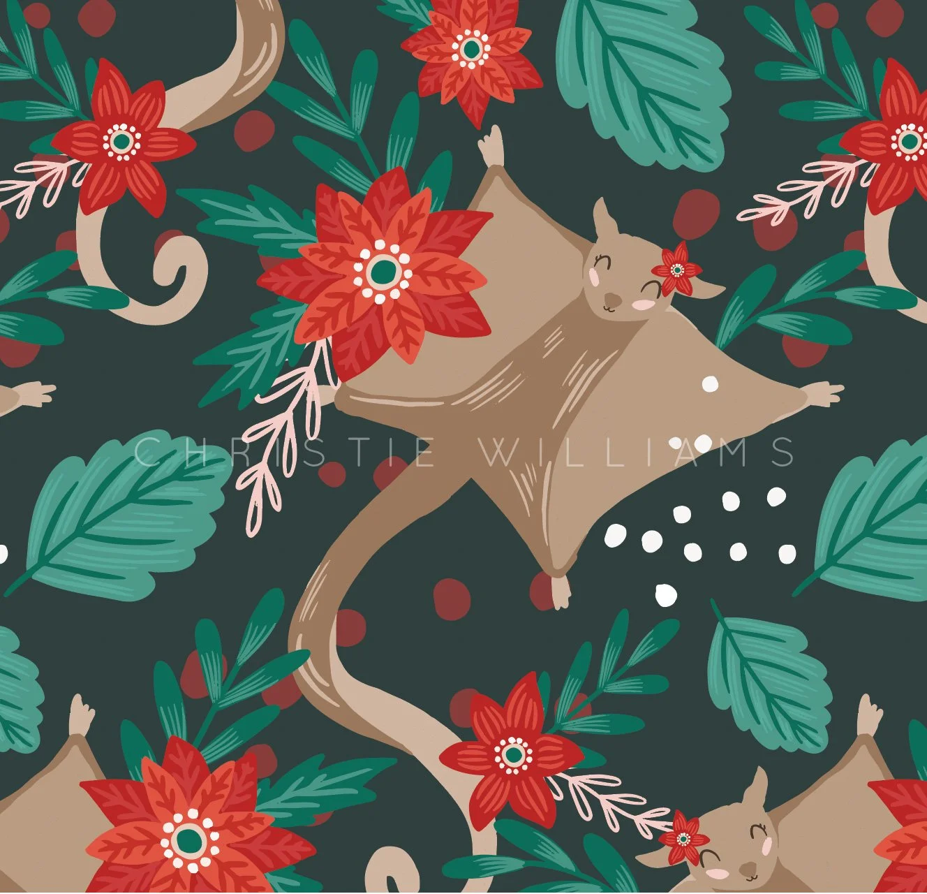 Christie Williams_Australiana Christmas-26.jpg