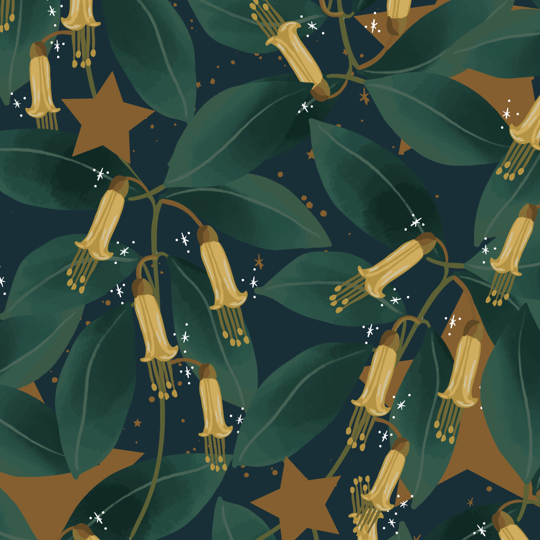 Screen Shot 2023-04-28 at 8.21.25 pm.png