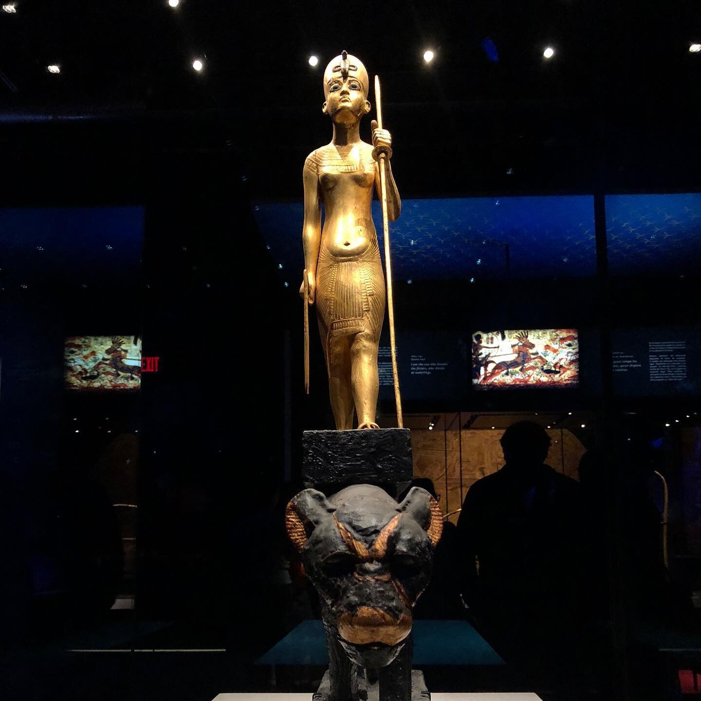 The King Tut Exhibit