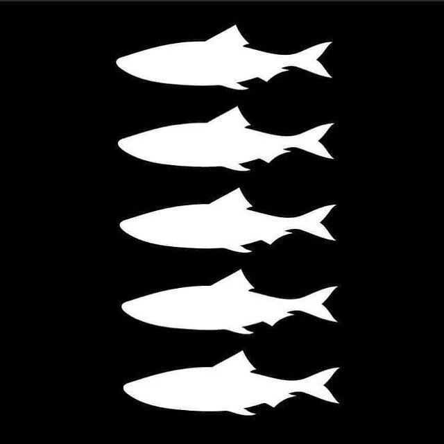 RIP to the 5 Dutch surfers who drowned at Scheveningen. I&rsquo;ve surfed there many times and the local crew are super welcoming and kind. Thoughts and vibes to you all 🙏🏽✨🌈 Mat