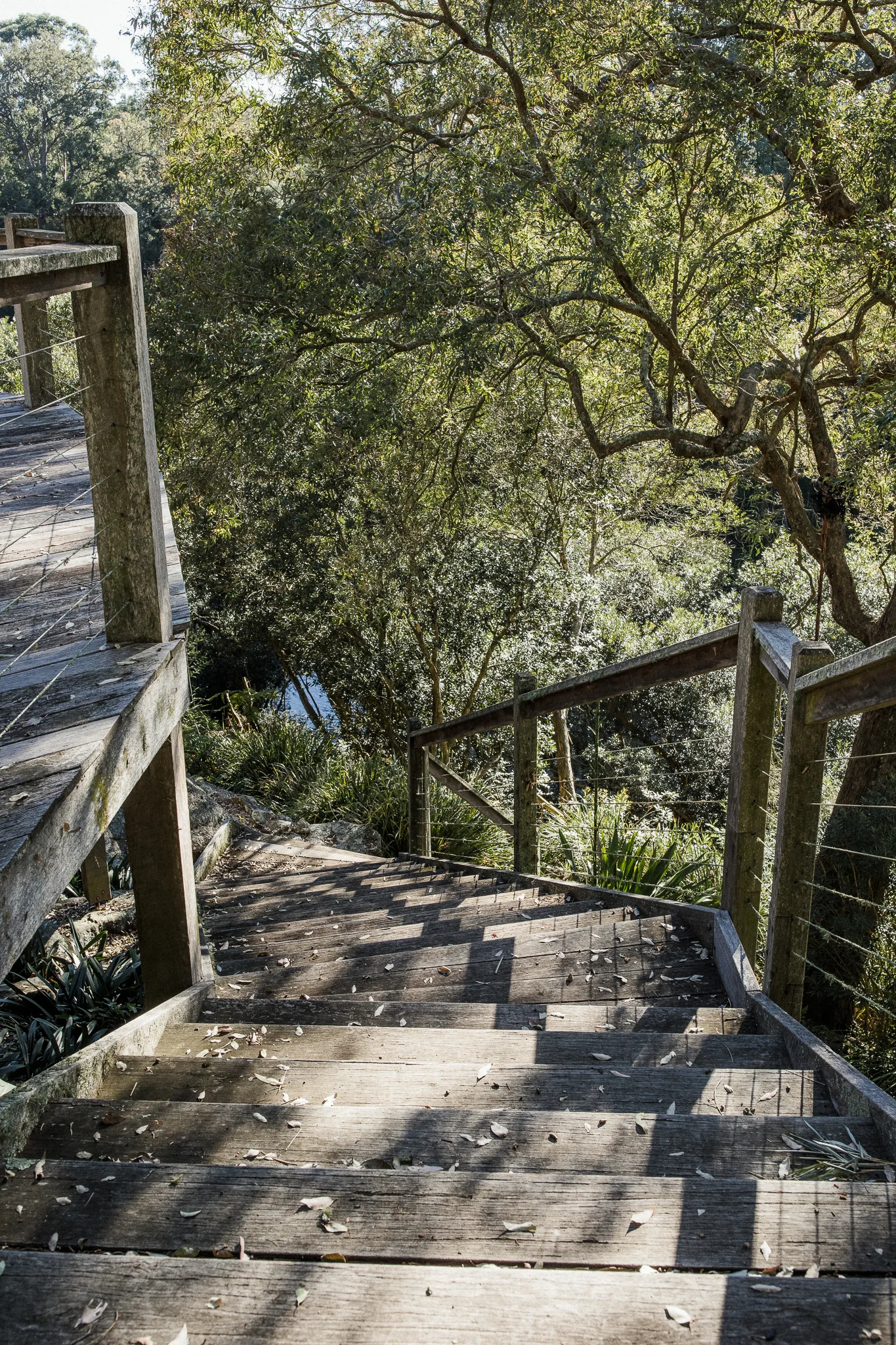 kangaroo valley-8.jpeg