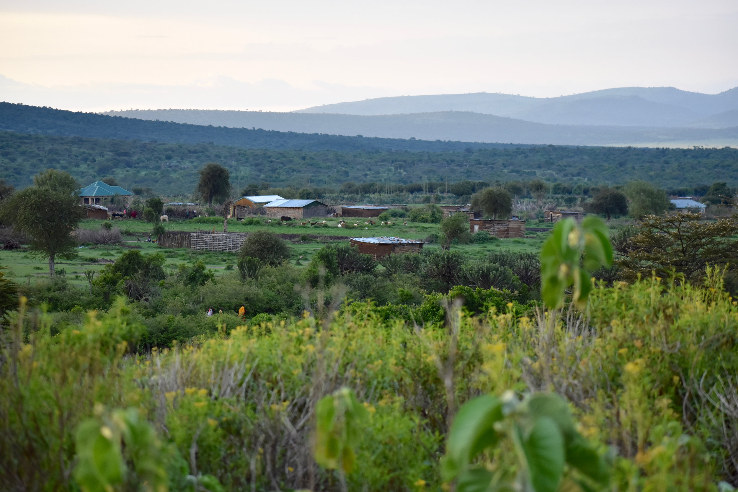 The landscape of Ololosokwan