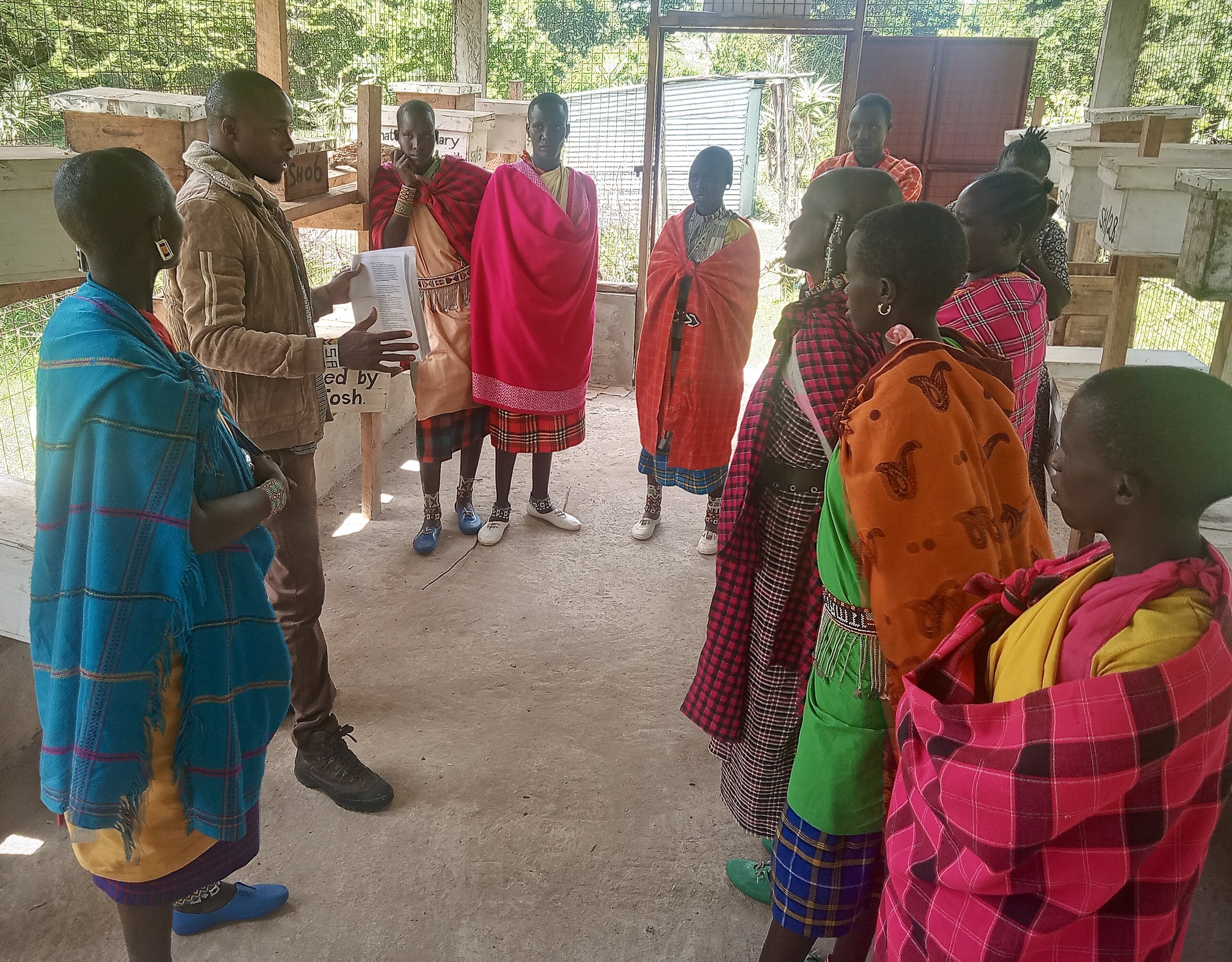 Participants tour the stingless bee cage.