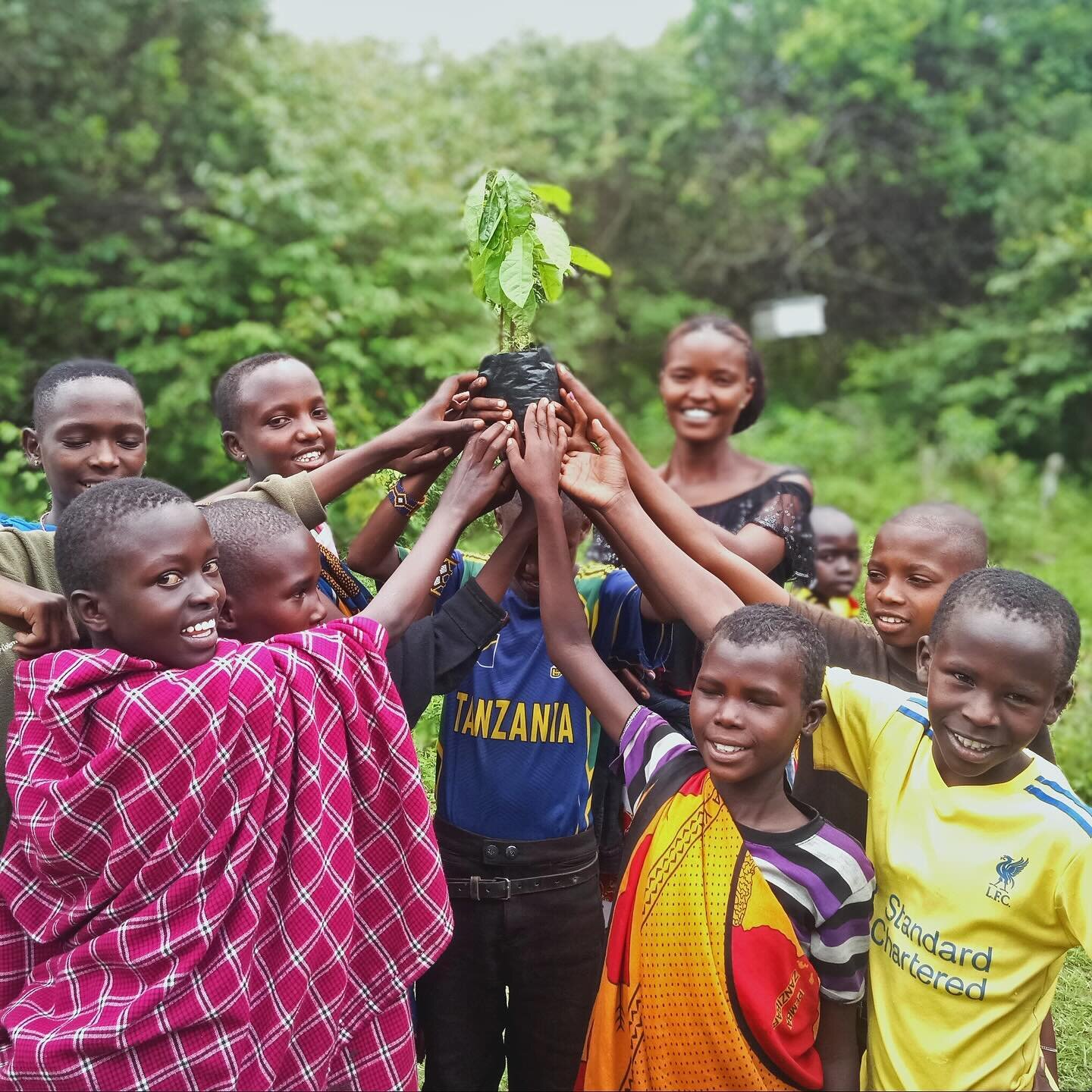 Students are planting trees at the Maasai Honey apiaries as part of our Youth Engagement Program on sustainability and conservation! 🌱
Growing plants grows communities and we are grateful for collaboration from the United States Forest Service, allo