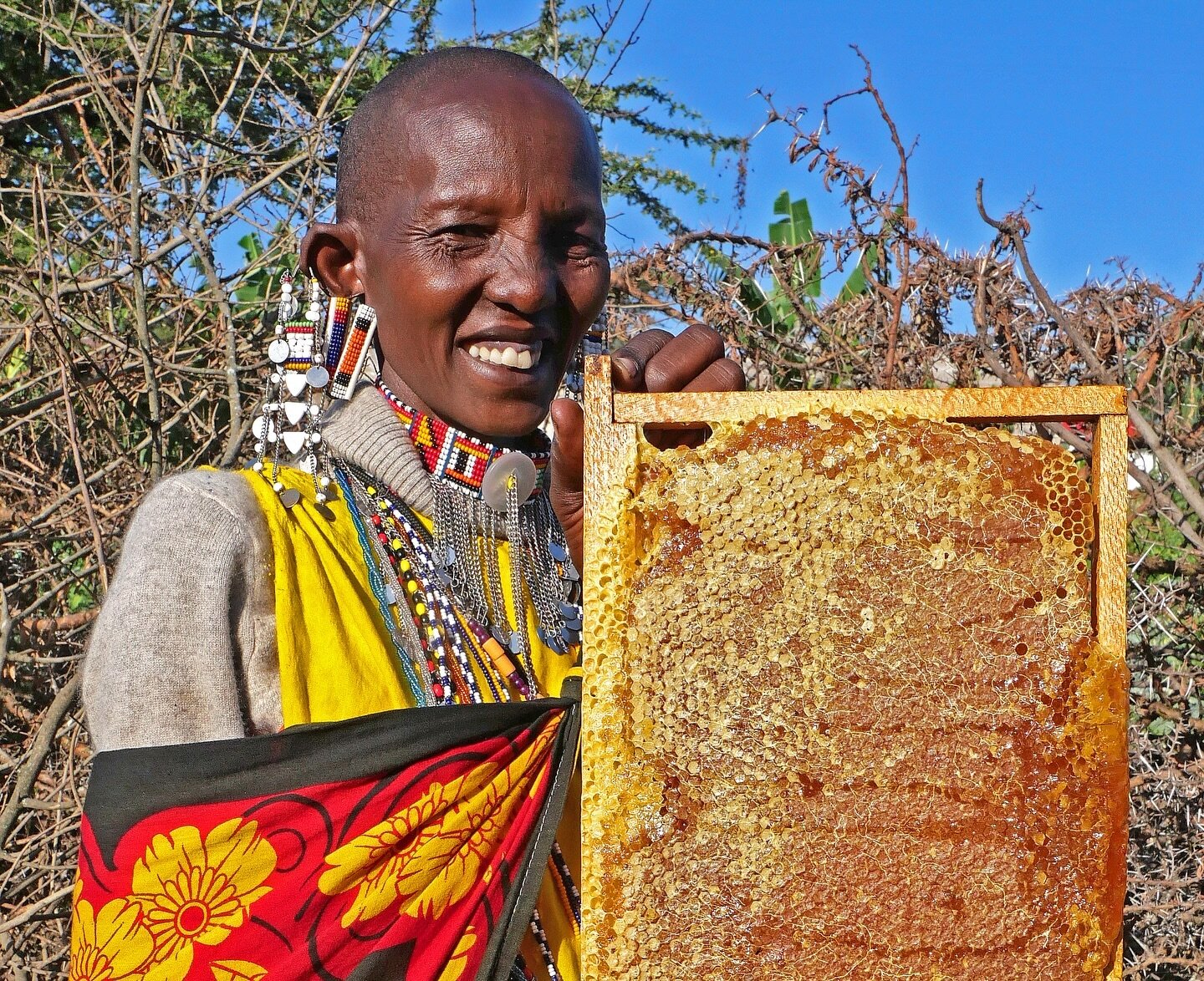 As fresh as it gets! 👏 We pride ourselves in bringing you the best quality honey, from the Maasai women beekeepers of Ololosokwan Village. 

You can support these wonderful beekeepers by buying honey in Tanzania:
www.TanzaniaBeekeeping.com

Or in th