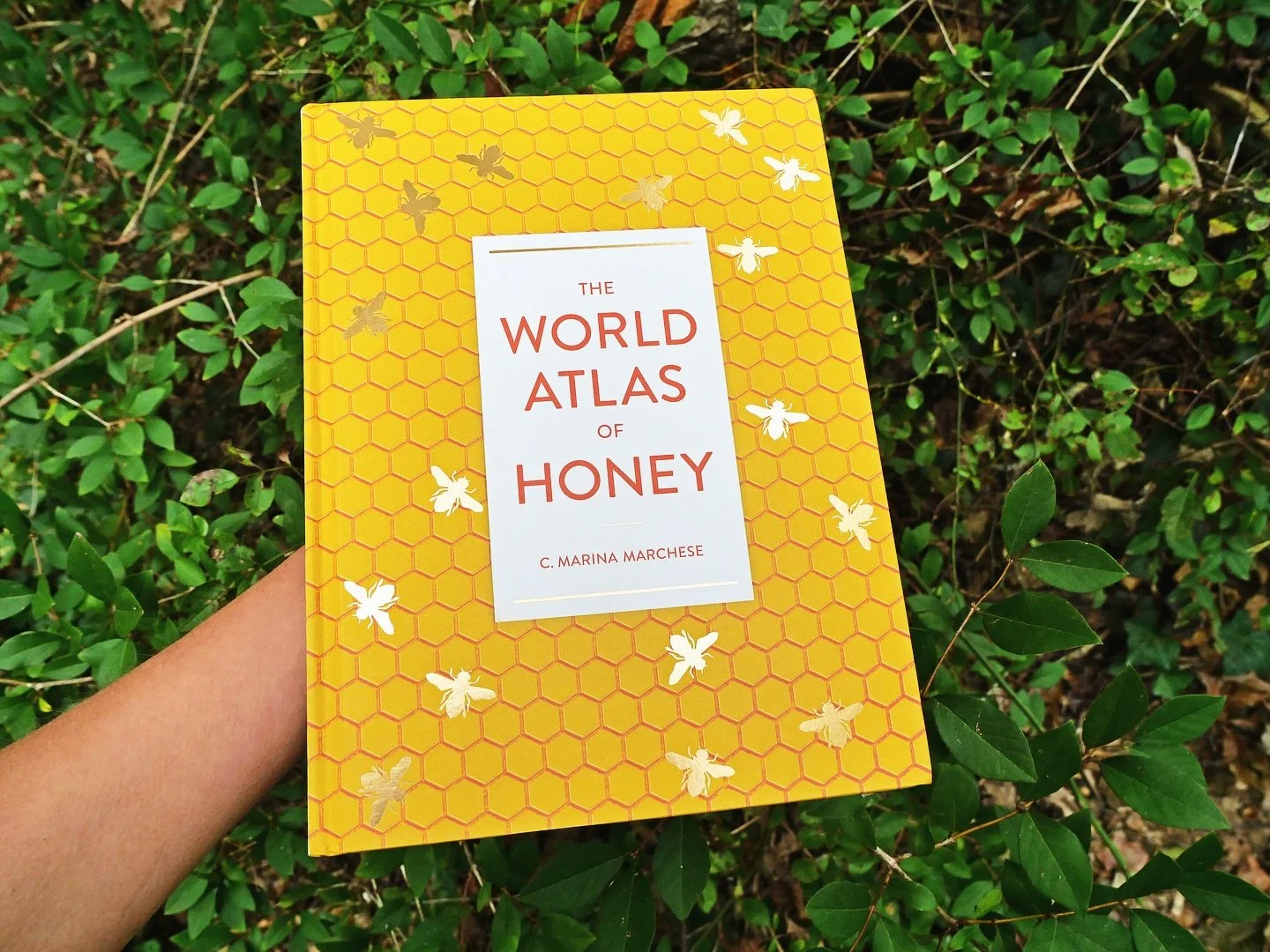 We feel incredibly honored to be featured in the World Atlas of Honey!🍯This amazing book has just been released TODAY and details honey varieties from over 80 different countries, including Tanzania! 
Marina’s section on Tanzanian honey inclu