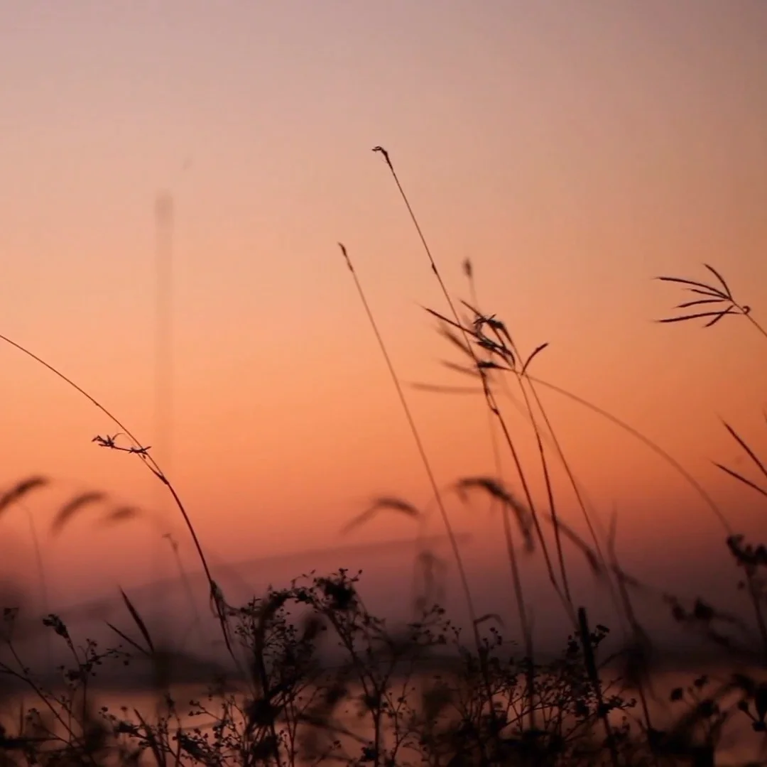 Evening%2B-%2B6514.jpg