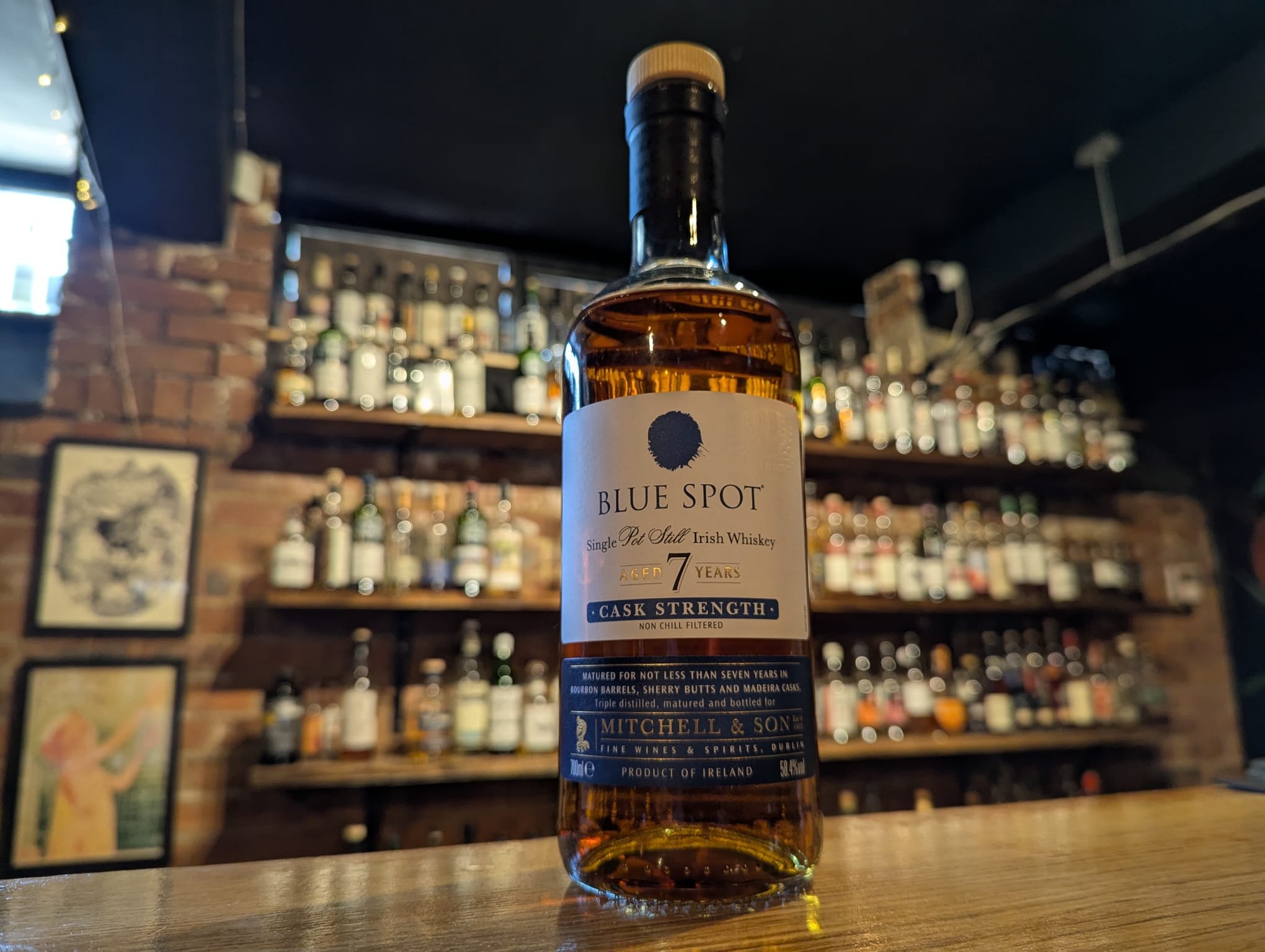 Blue Spot 7 Year Old