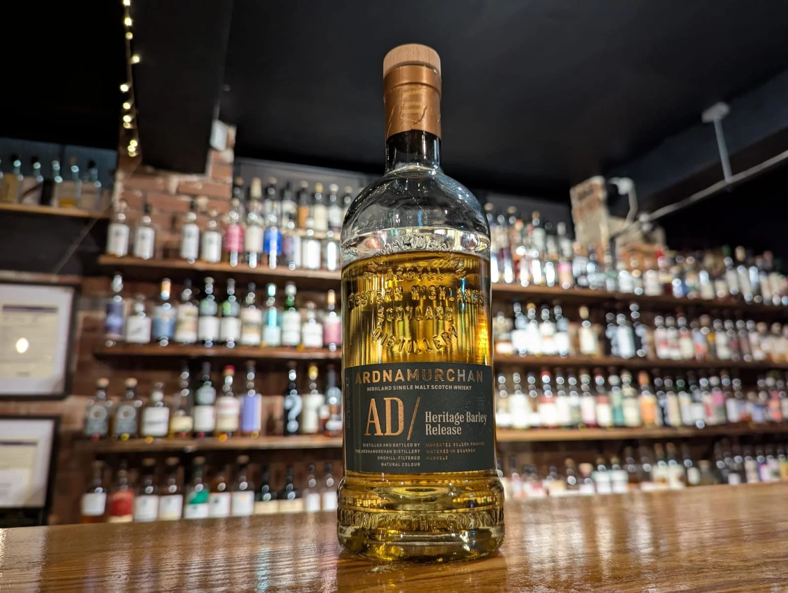 WhatsApp Image 2025-11-21 at 19.53.20.jpeg