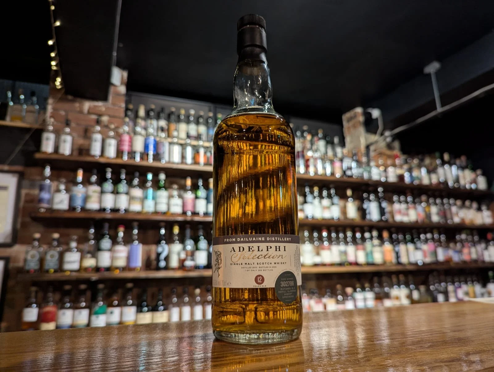 WhatsApp Image 2025-11-21 at 19.53.19.jpeg