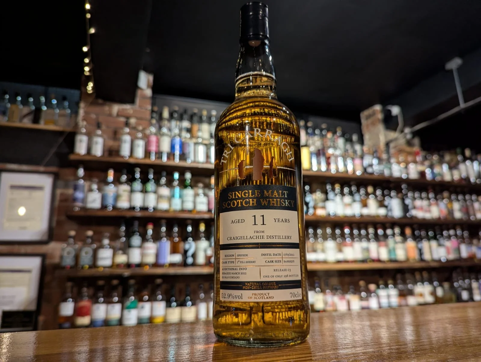 WhatsApp Image 2025-11-21 at 20.51.19.jpeg